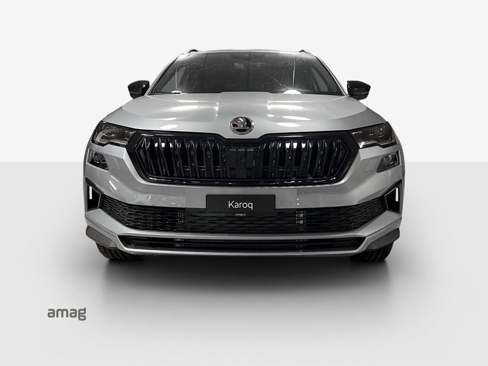 SKODA Karoq 2.0 TSI Dynamic Limited Edition 4x4 DSG-image-6