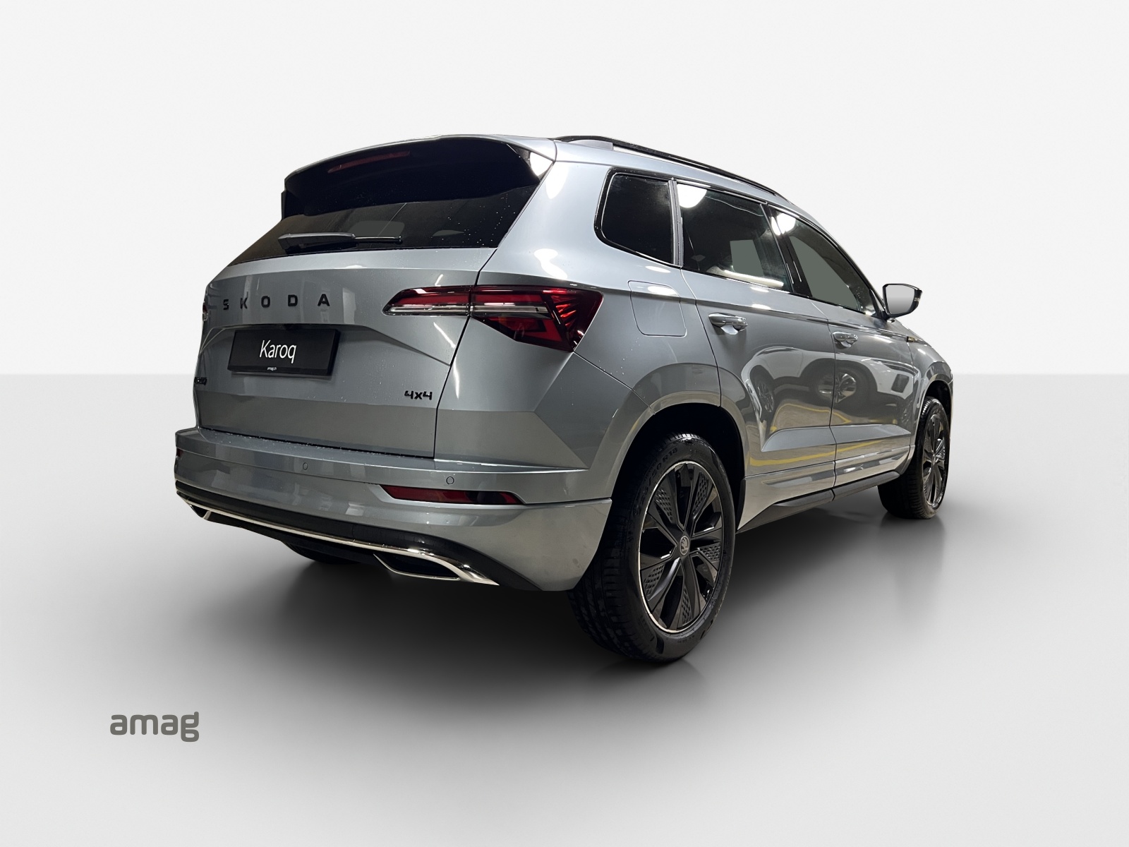 SKODA Karoq 2.0 TSI Dynamic Limited Edition 4x4 DSG-image-4