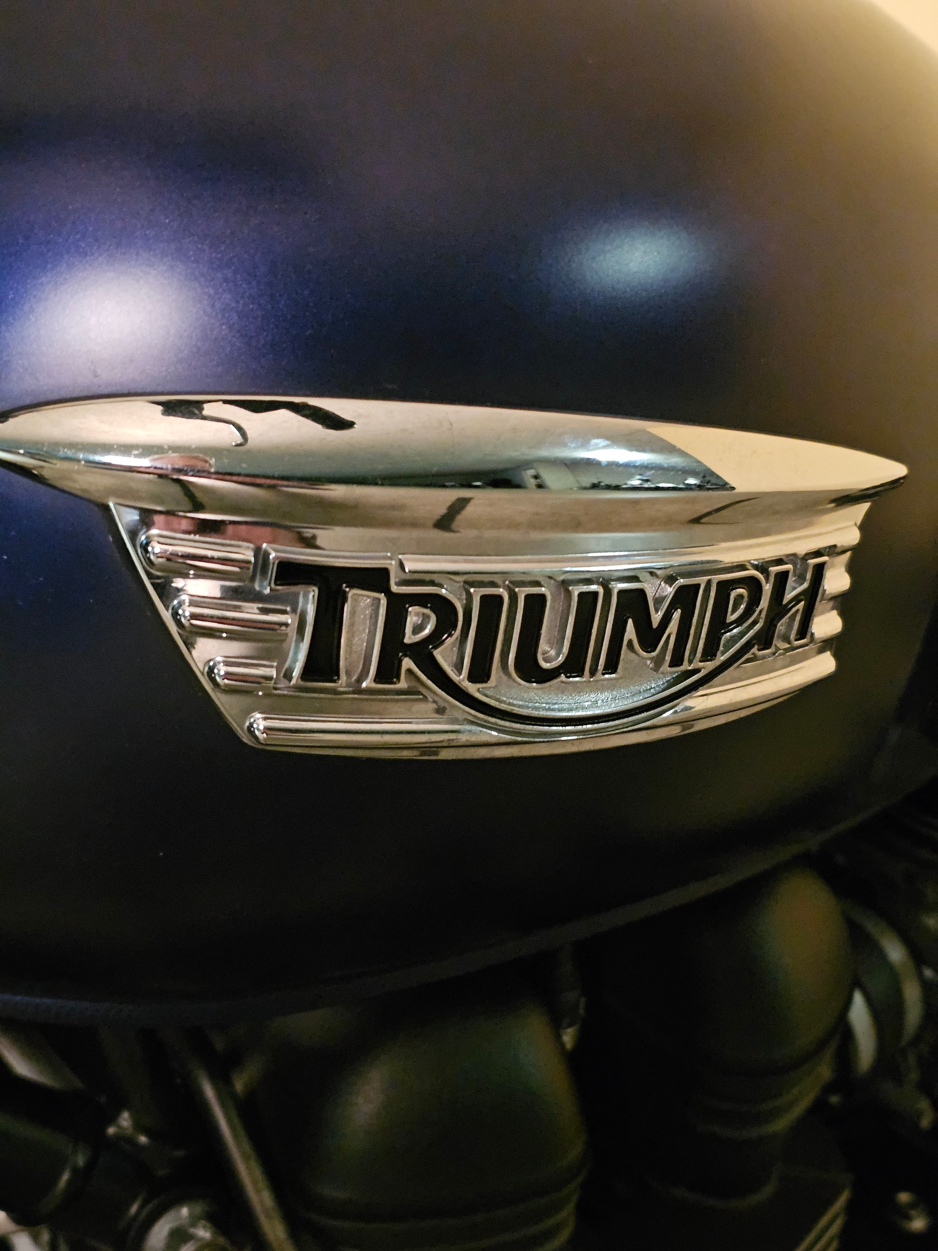 TRIUMPH Scrambler 900-image-8