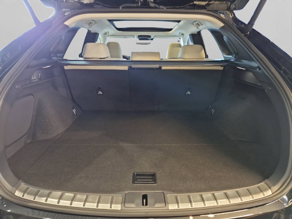 LEXUS RX 450h+ Excellence-image-14
