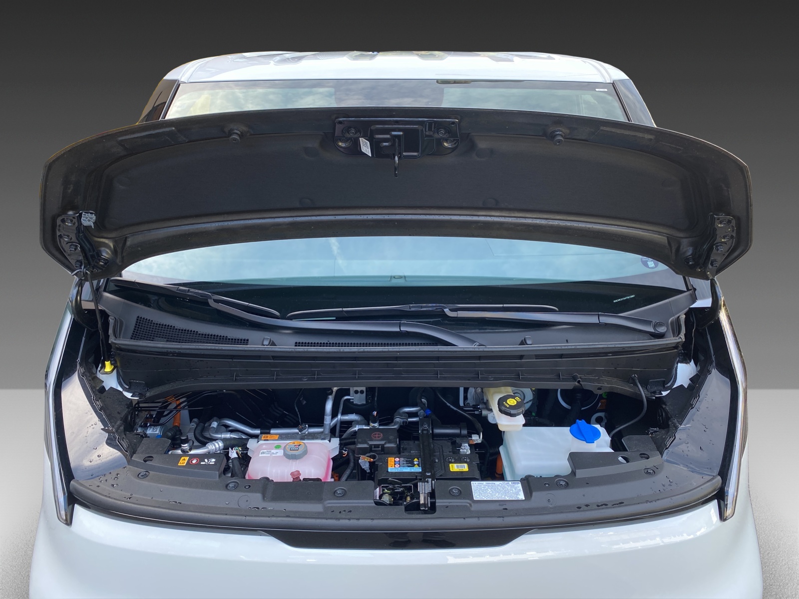 KIA Cargo Essential / International Van of the Year 2026-image-19