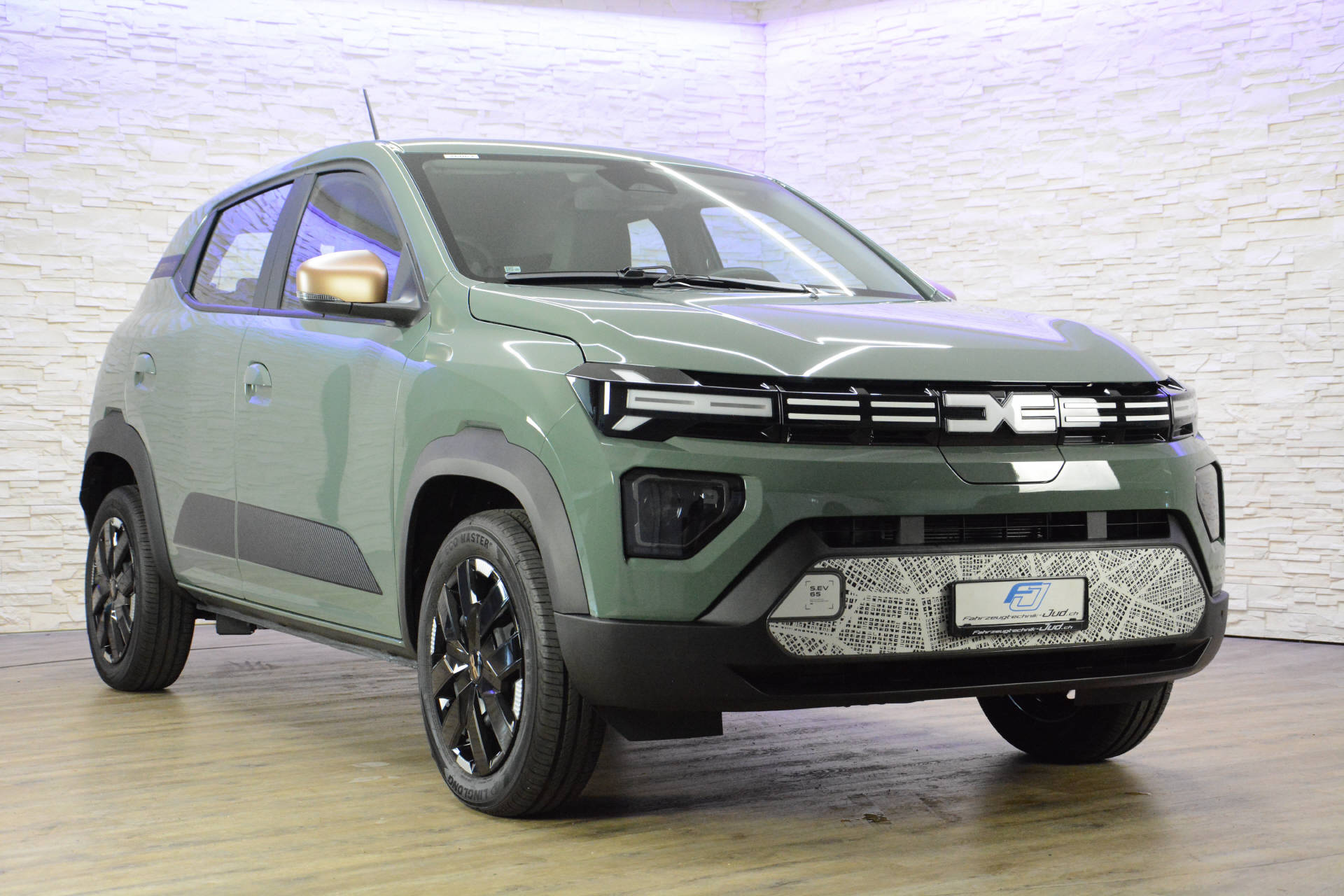 DACIA Spring Extreme-showroom-element-1