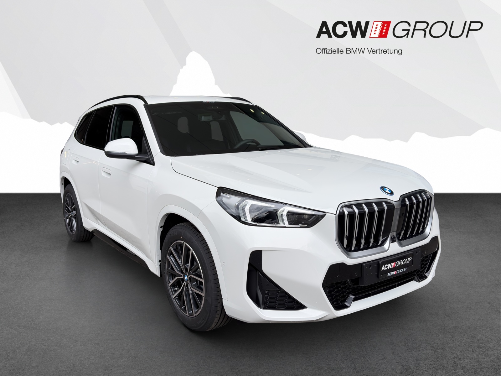 BMW X1 25e xDrive-image-6