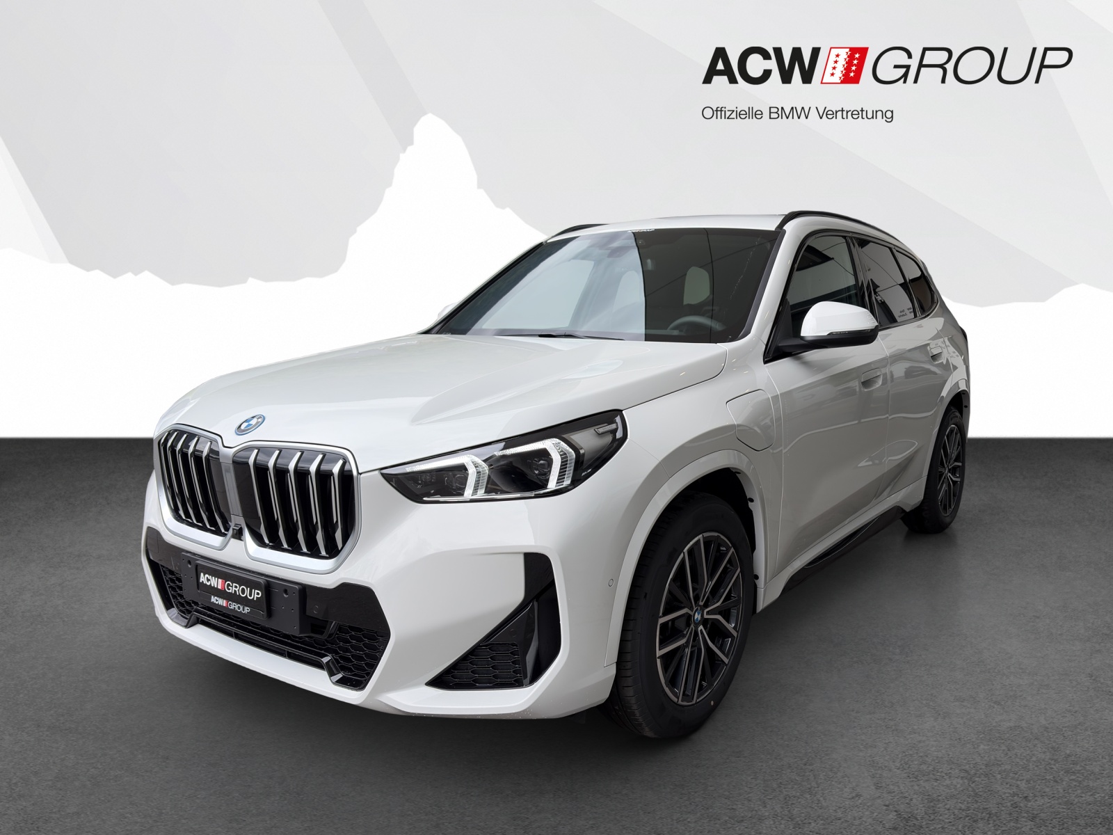 BMW X1 25e xDrive