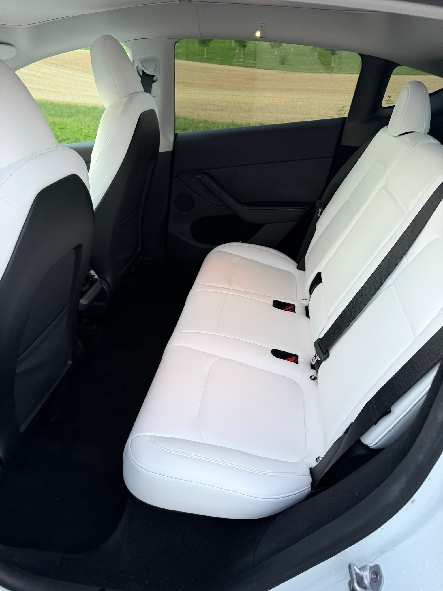 TESLA Hinterradantrieb-image-8