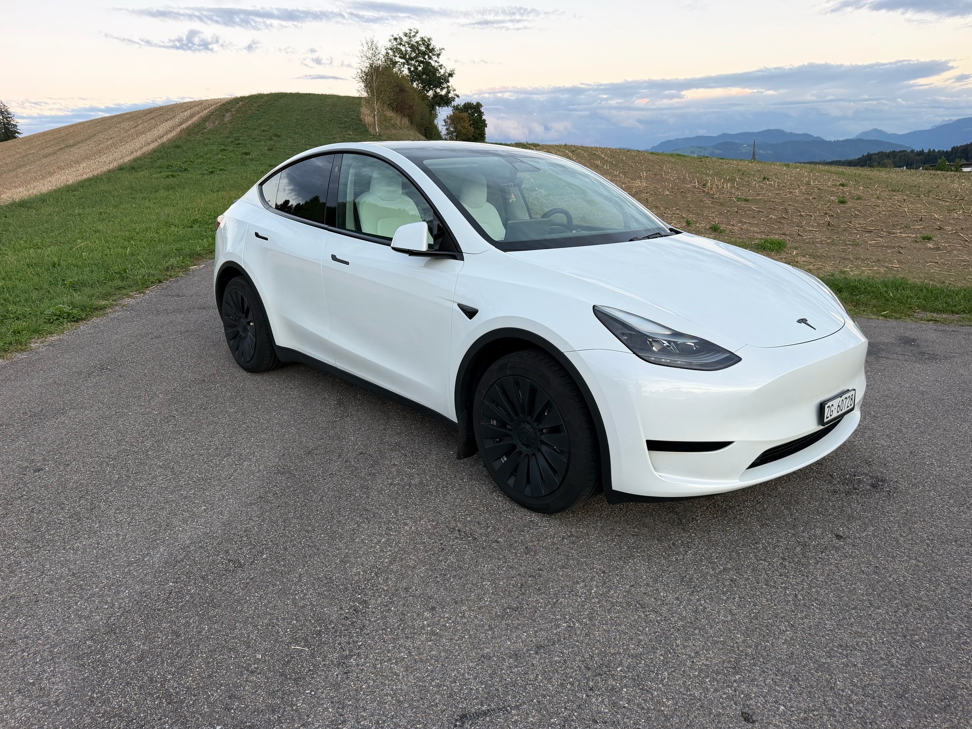 TESLA Hinterradantrieb-image-1