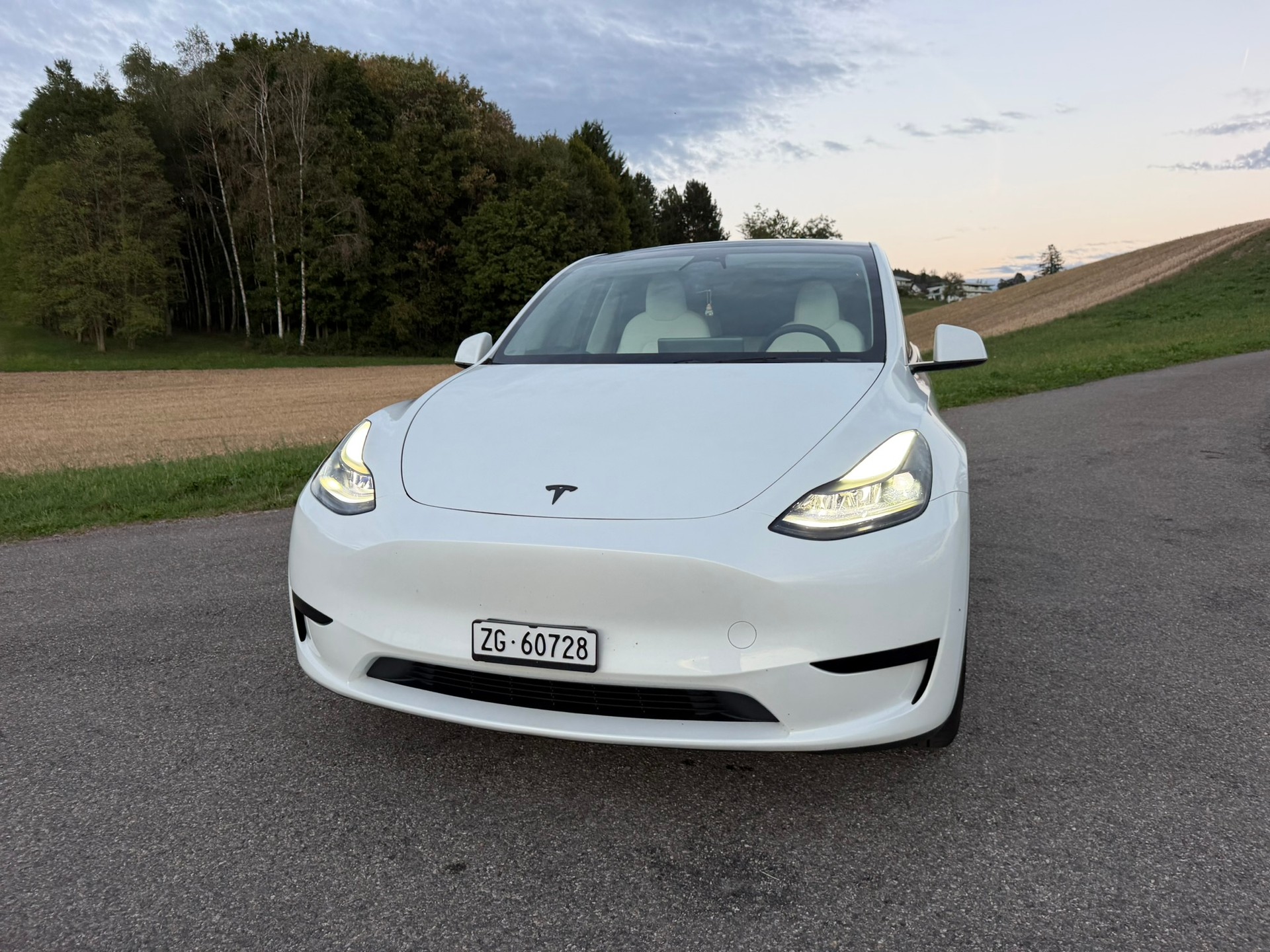 TESLA Hinterradantrieb-image-1