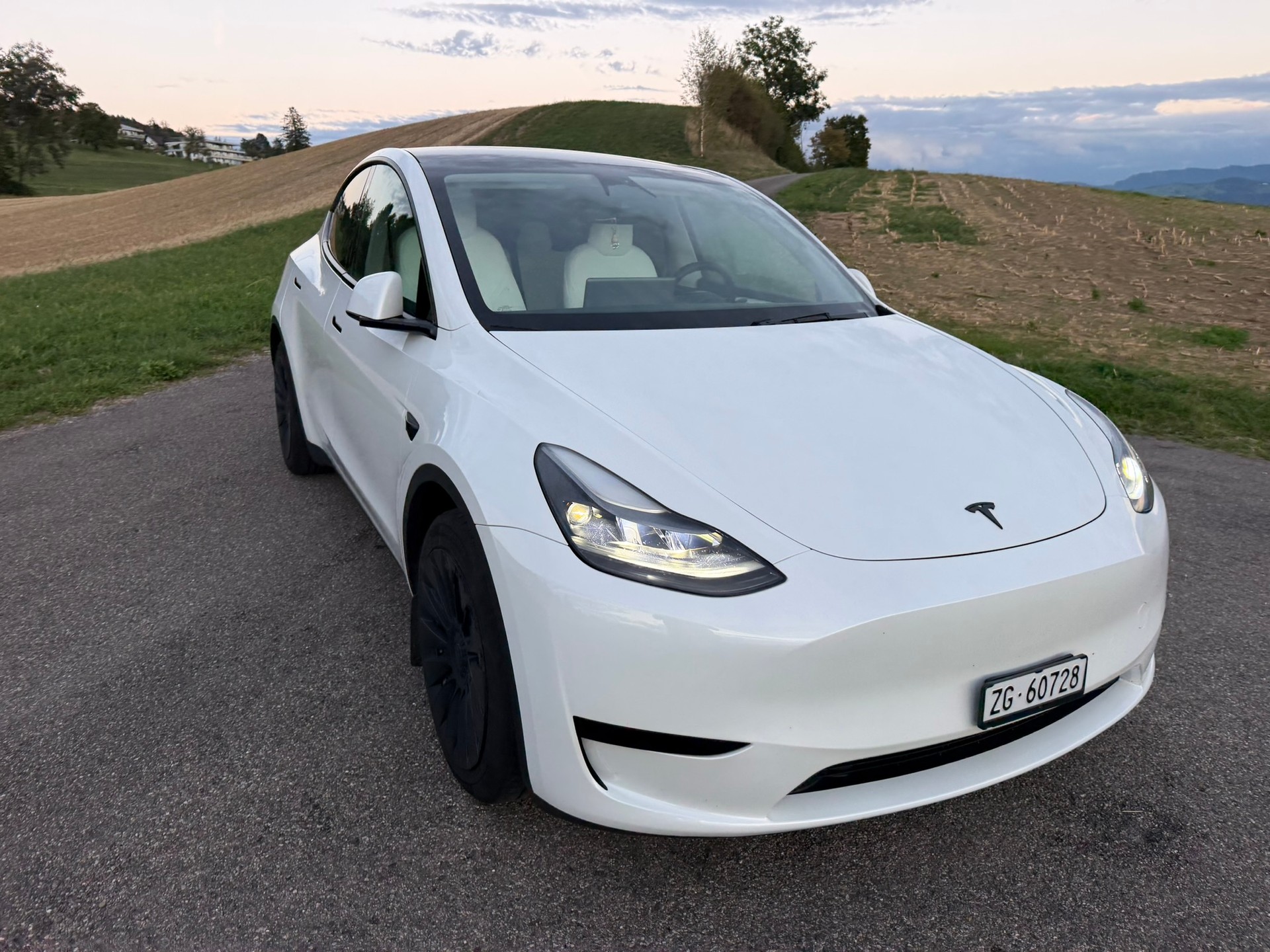 TESLA Basis