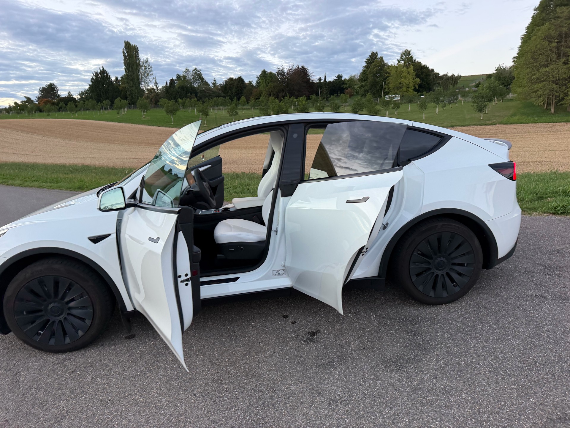 TESLA Hinterradantrieb-image-4