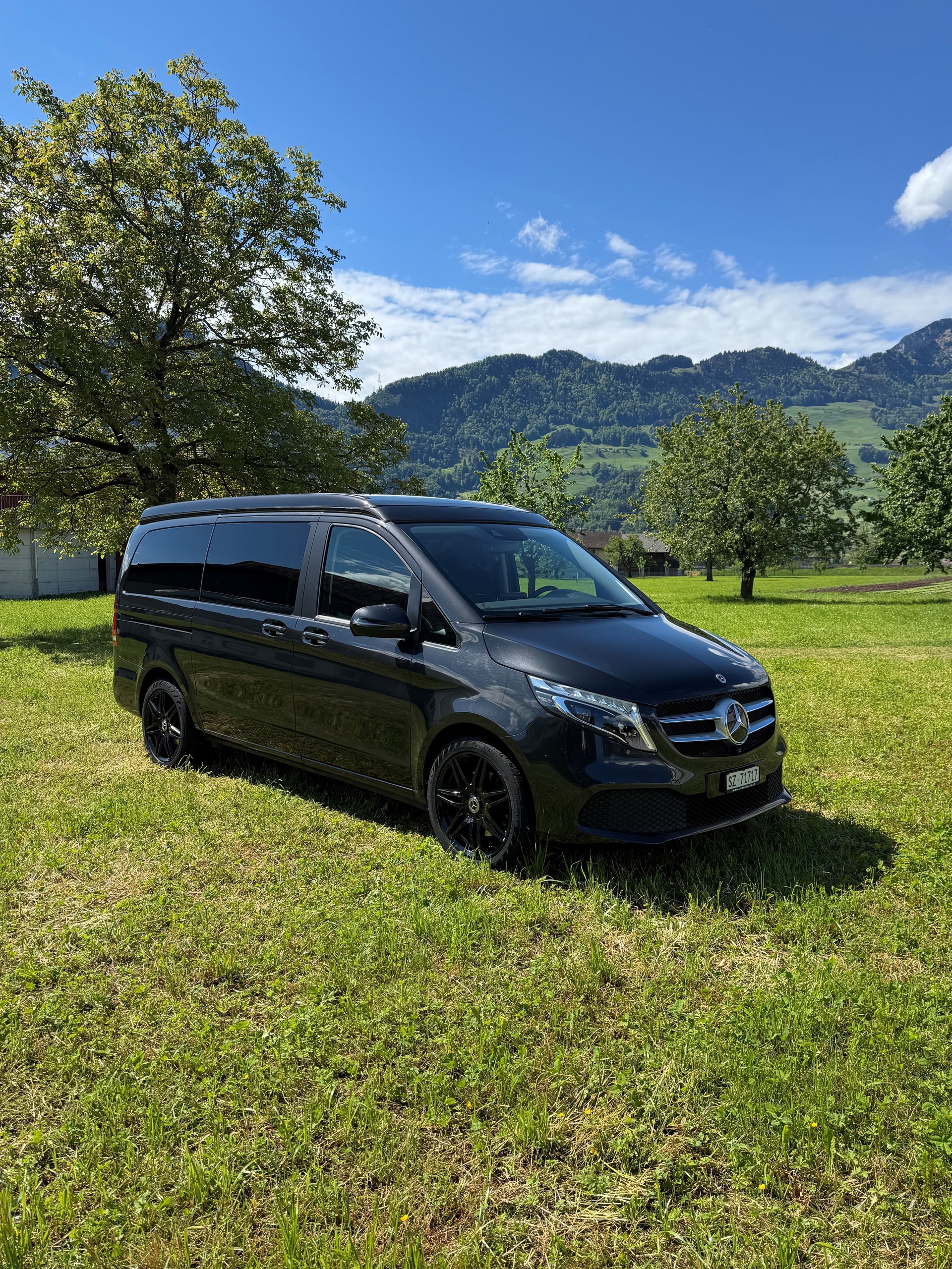 MERCEDES-BENZ Marco Polo Horizon 250 d 4 matic