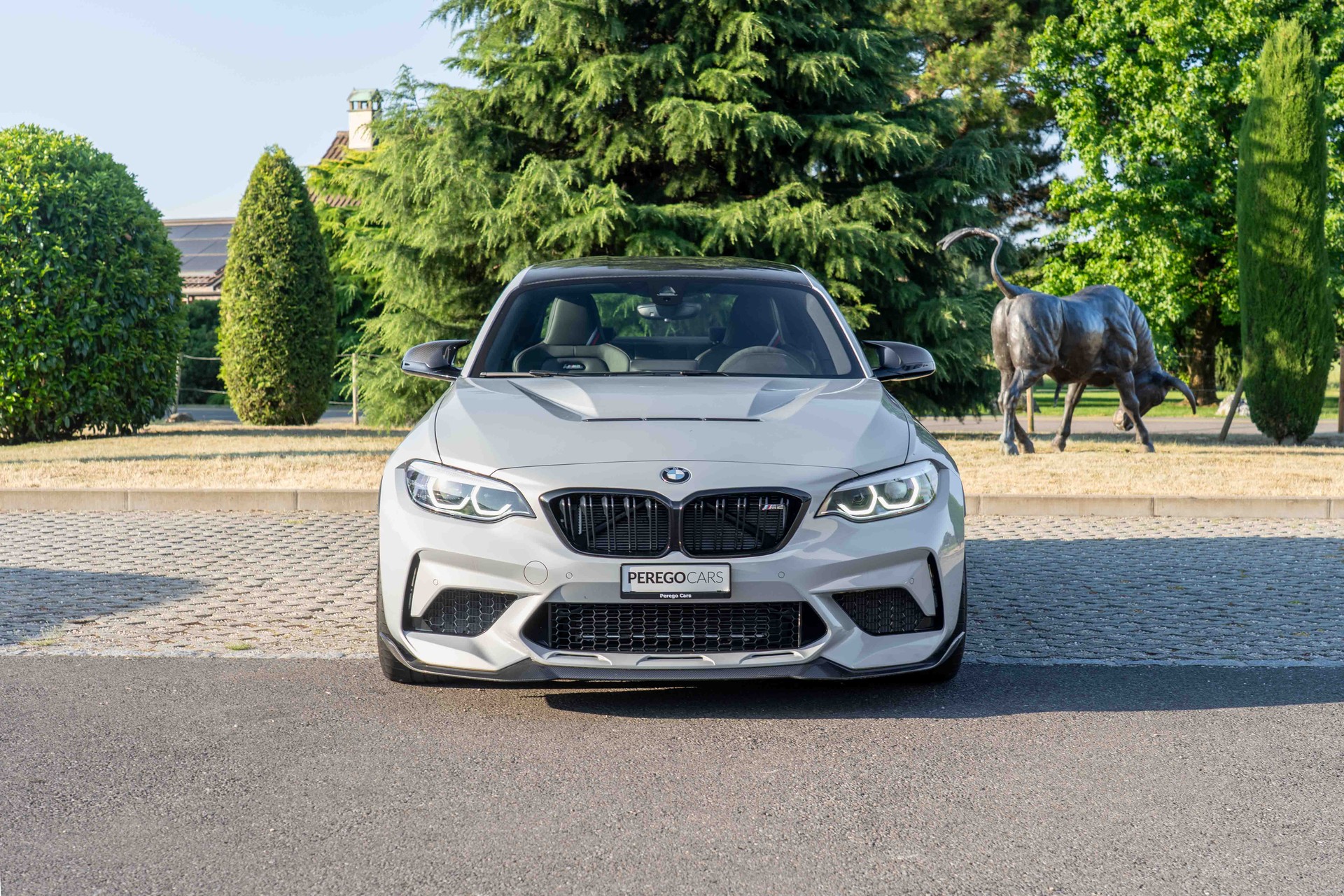 BMW M2 CS-image-2
