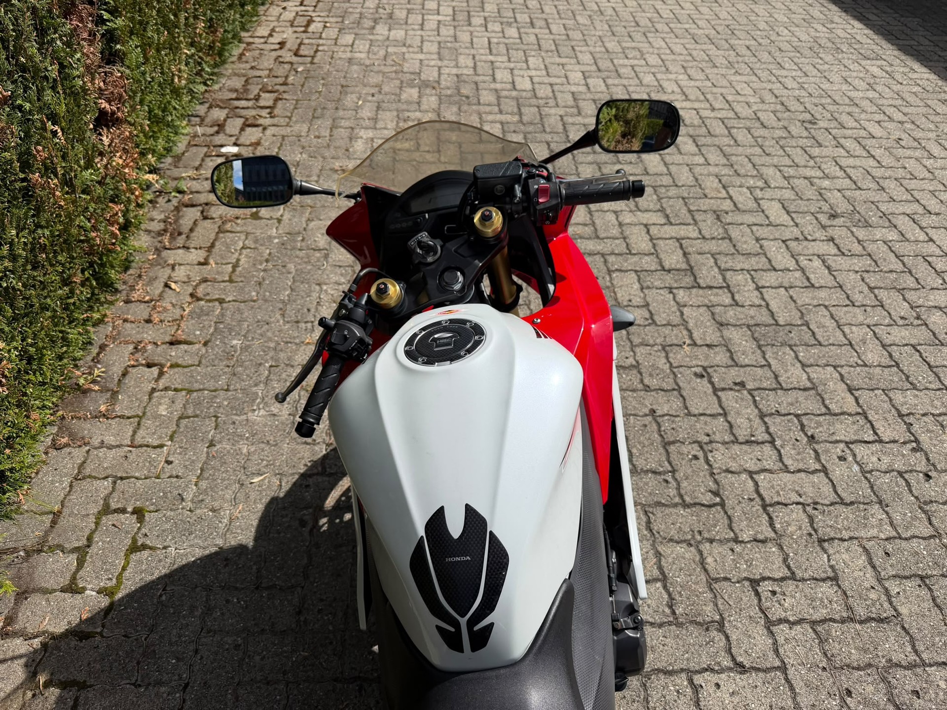 HONDA CBR 600 FA ABS Service ok 08/2026-image-6