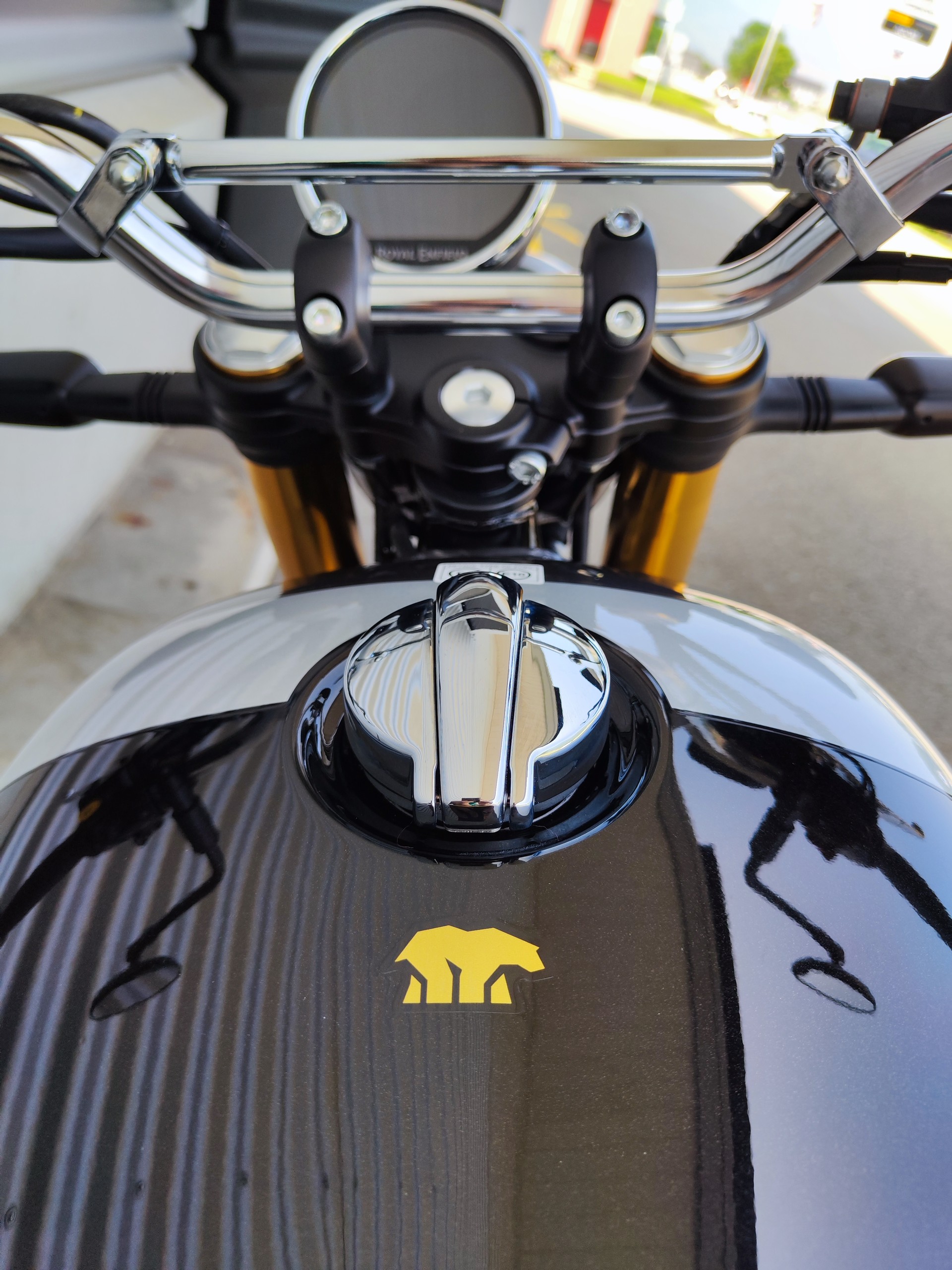 ROYAL ENFIELD Bear 650-image-2
