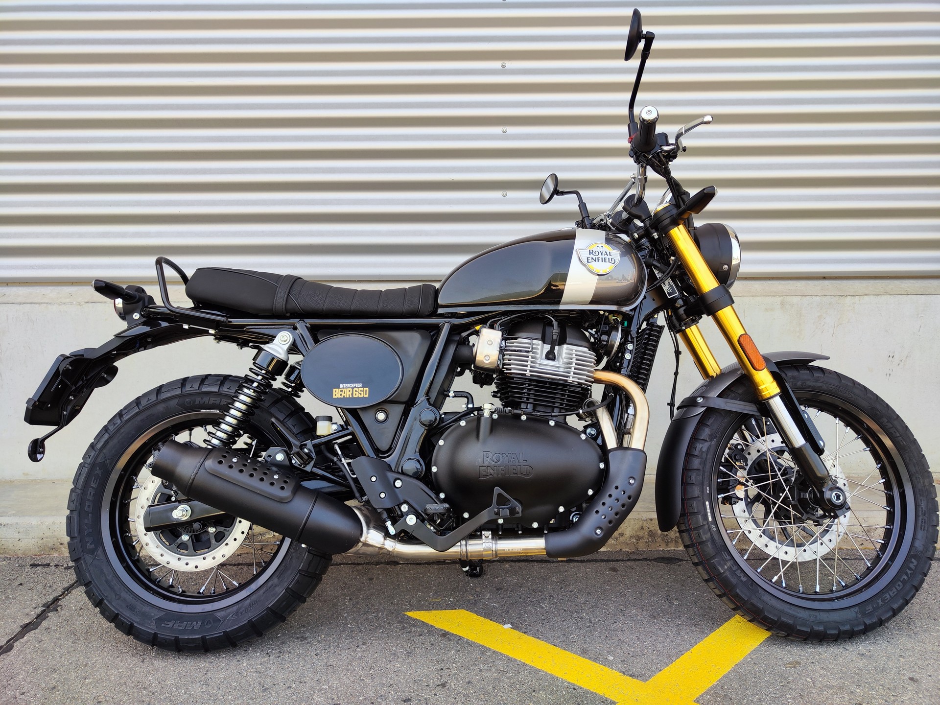 ROYAL ENFIELD Bear 650-image-0