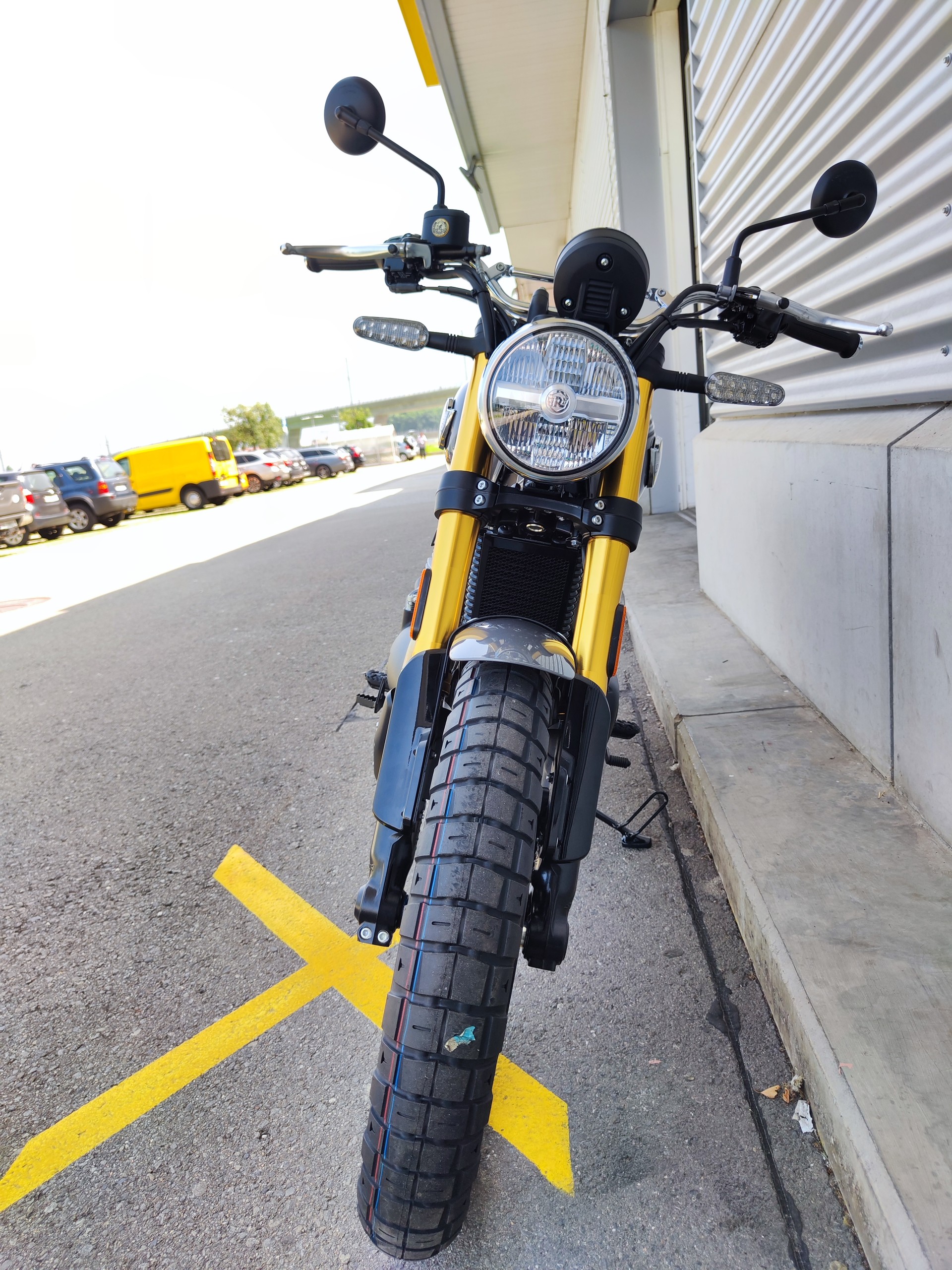 ROYAL ENFIELD Bear 650-image-3