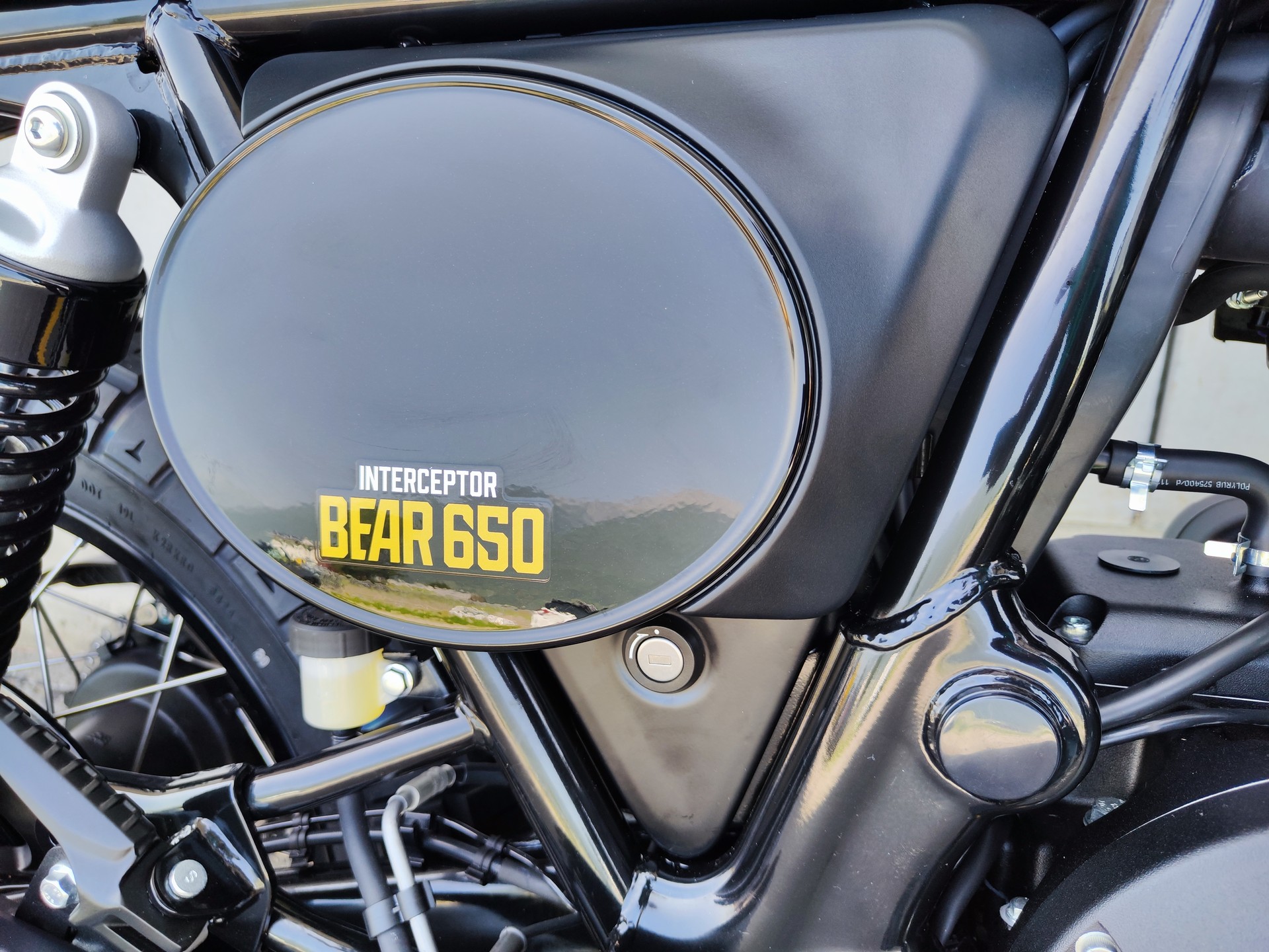 ROYAL ENFIELD Bear 650-image-4