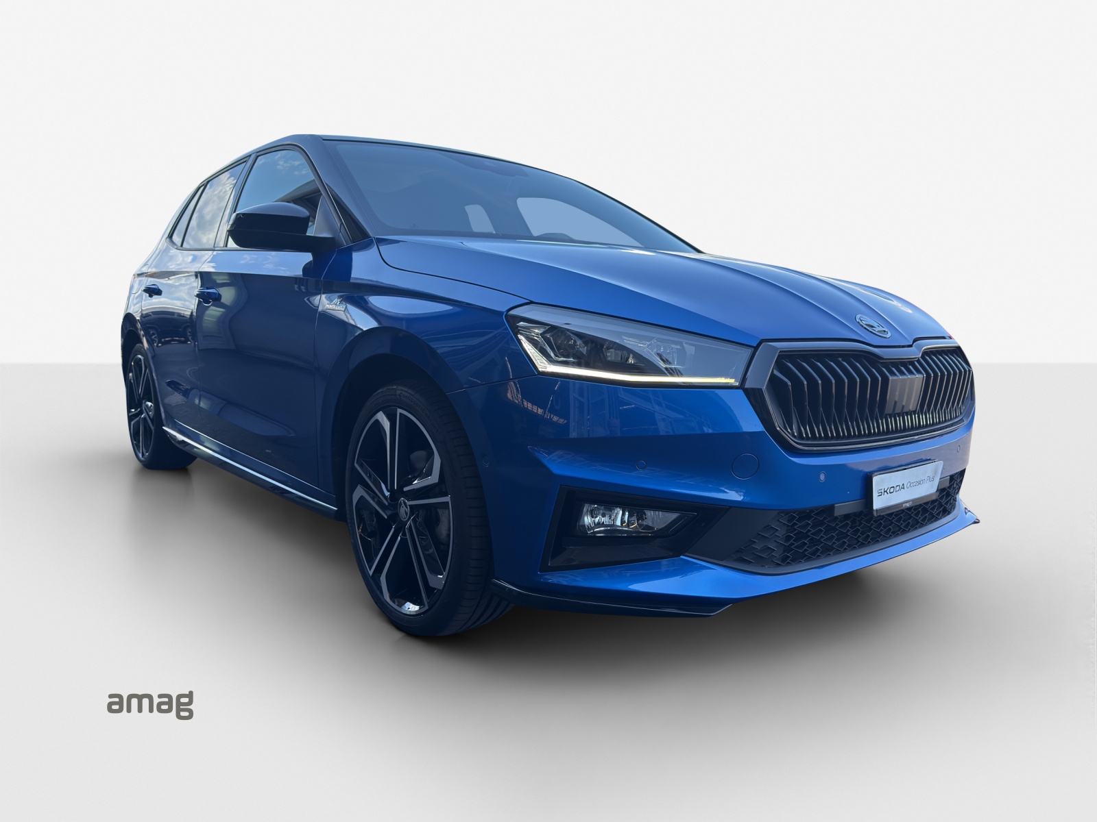 SKODA Fabia 1.0 TSI Monte Carlo DSG-image-5