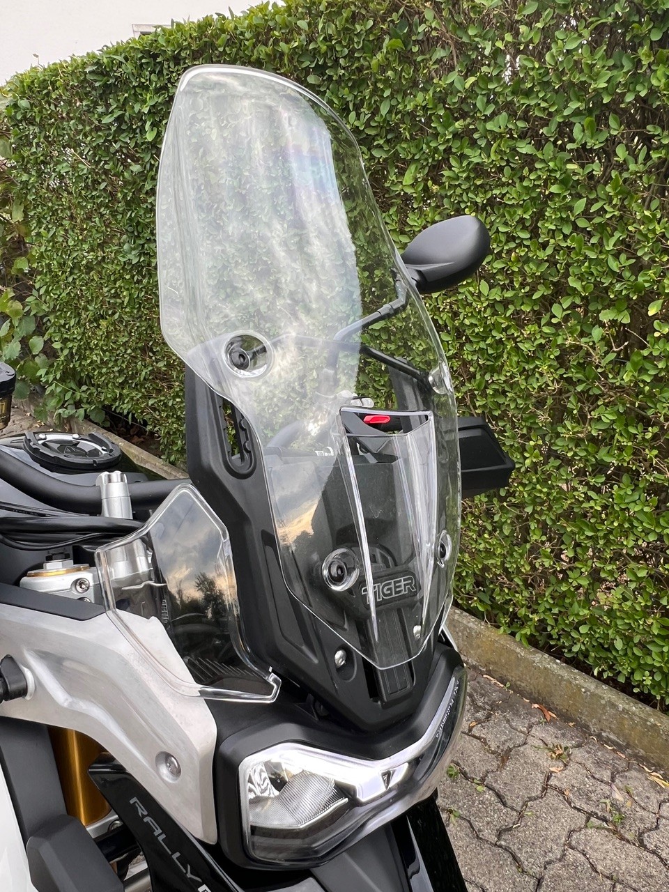 TRIUMPH Tiger 900 GT Pro-image-9