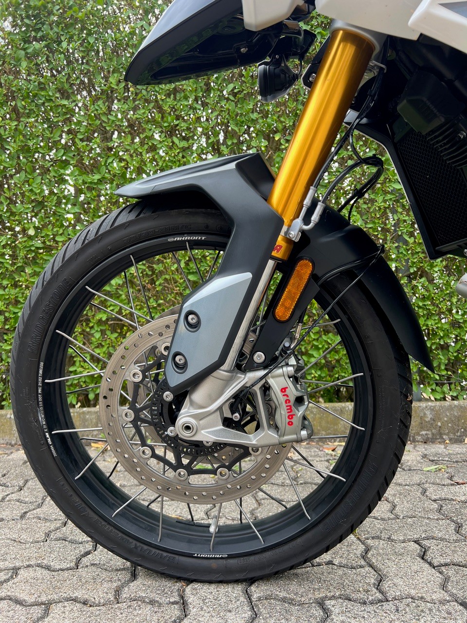 TRIUMPH Tiger 900 GT Pro-image-3