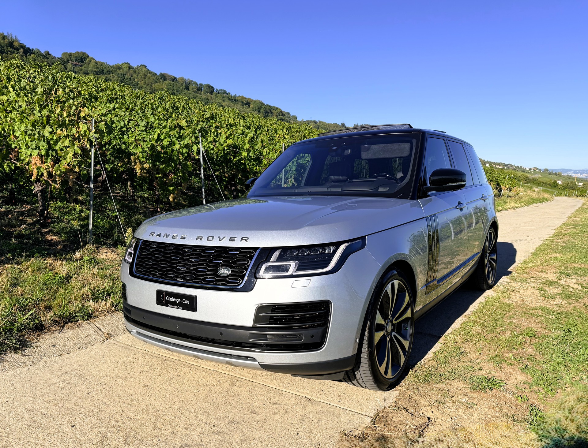 LAND ROVER Range Rover 5.0 V8 S/C SV AB Dynamic Automatic-showroom-element-1