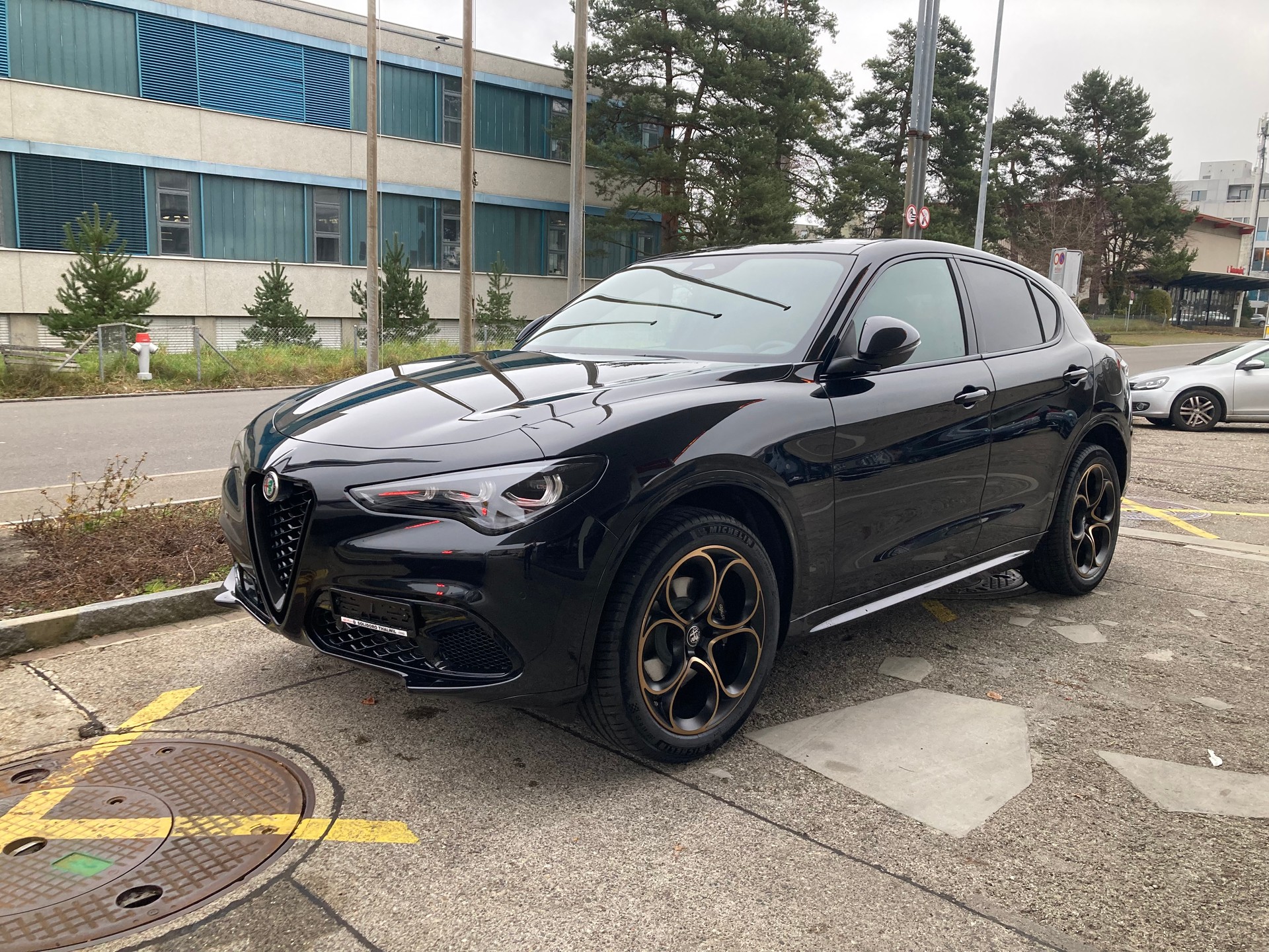 ALFA ROMEO Stelvio 2.0 Intensa Q4 AT8-image-7