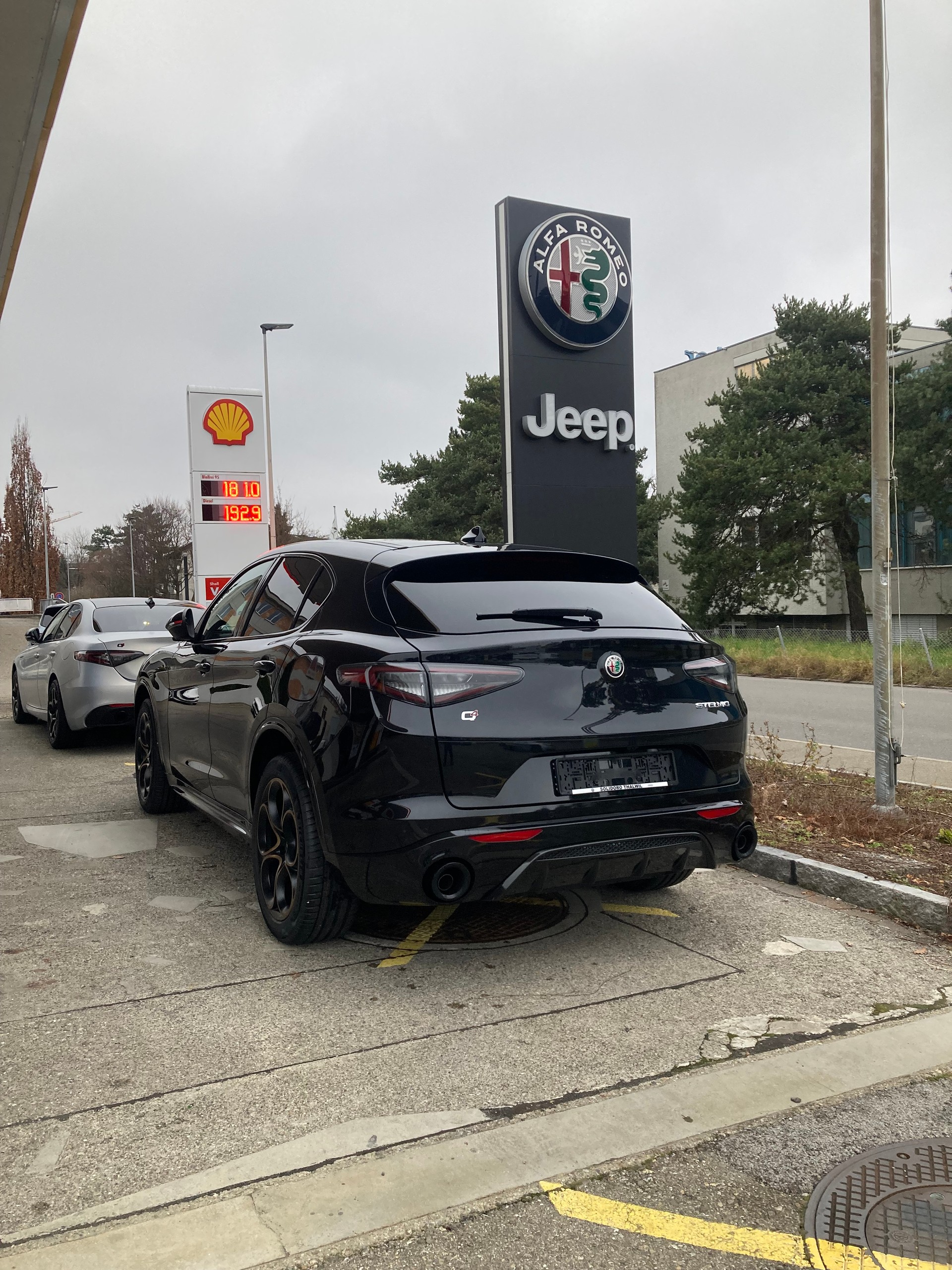 ALFA ROMEO Stelvio 2.0 Intensa Q4 AT8-image-10