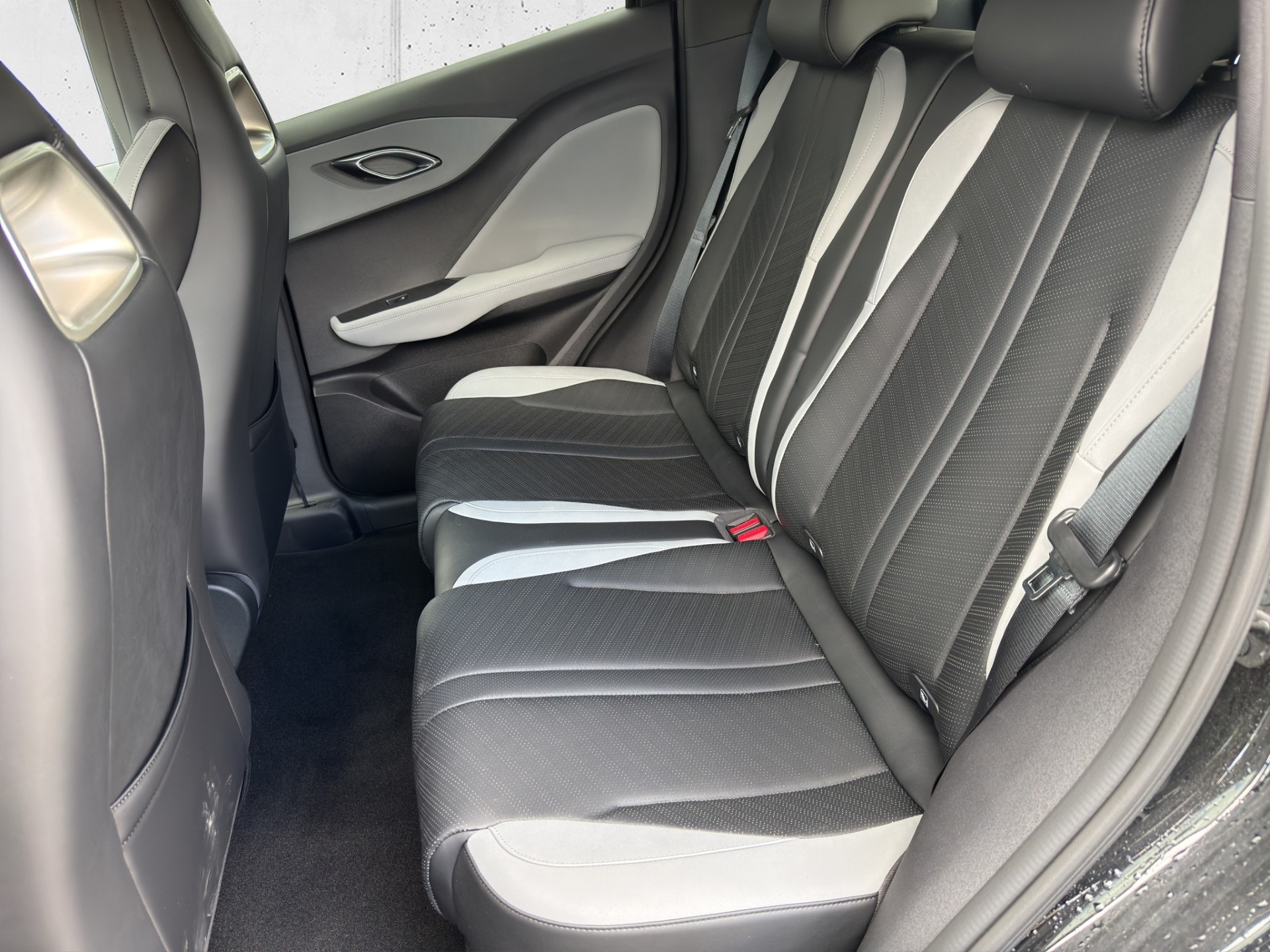 BYD Dolphin Surf Comfort-image-11