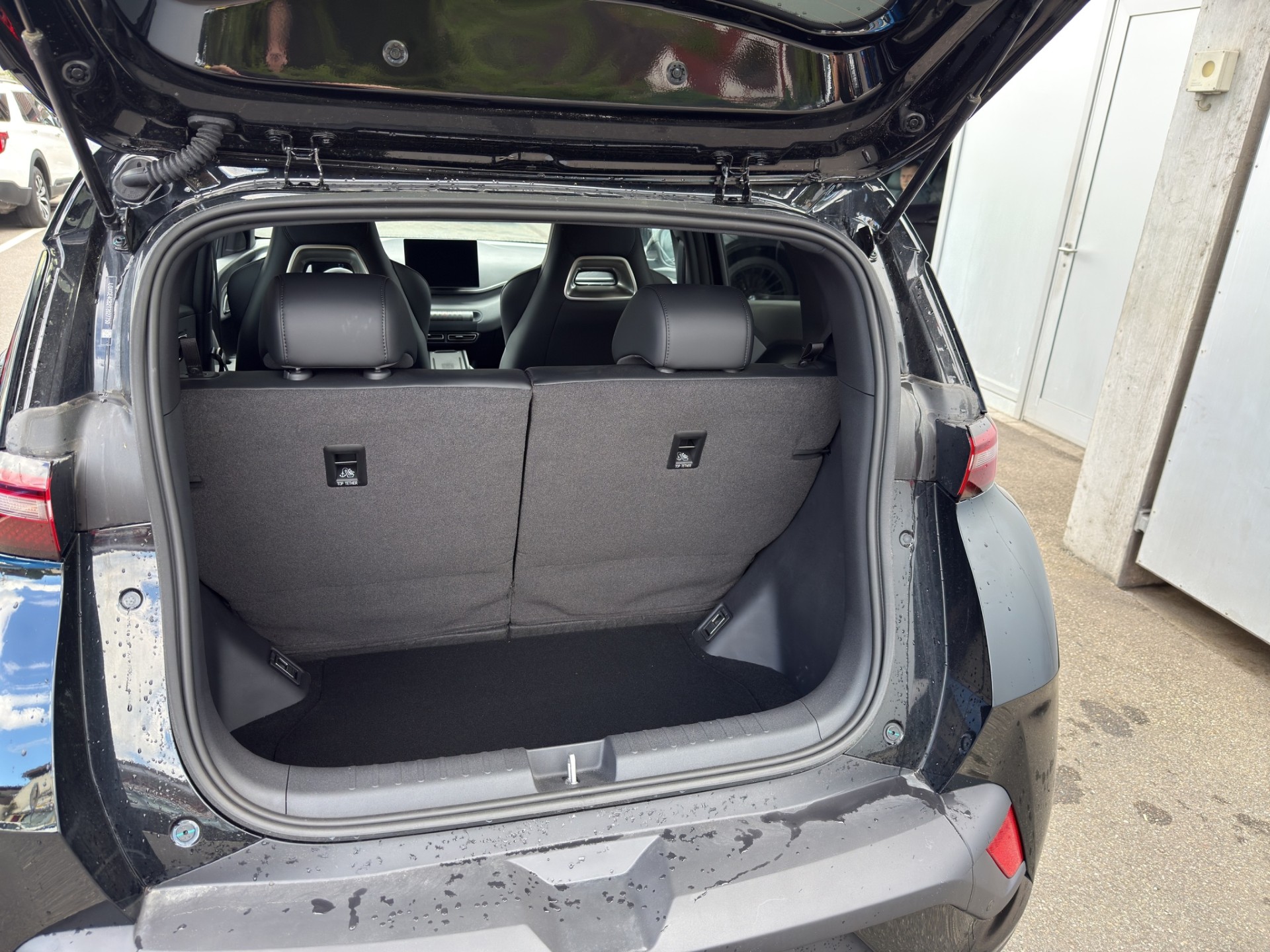 BYD Dolphin Surf Comfort-image-13
