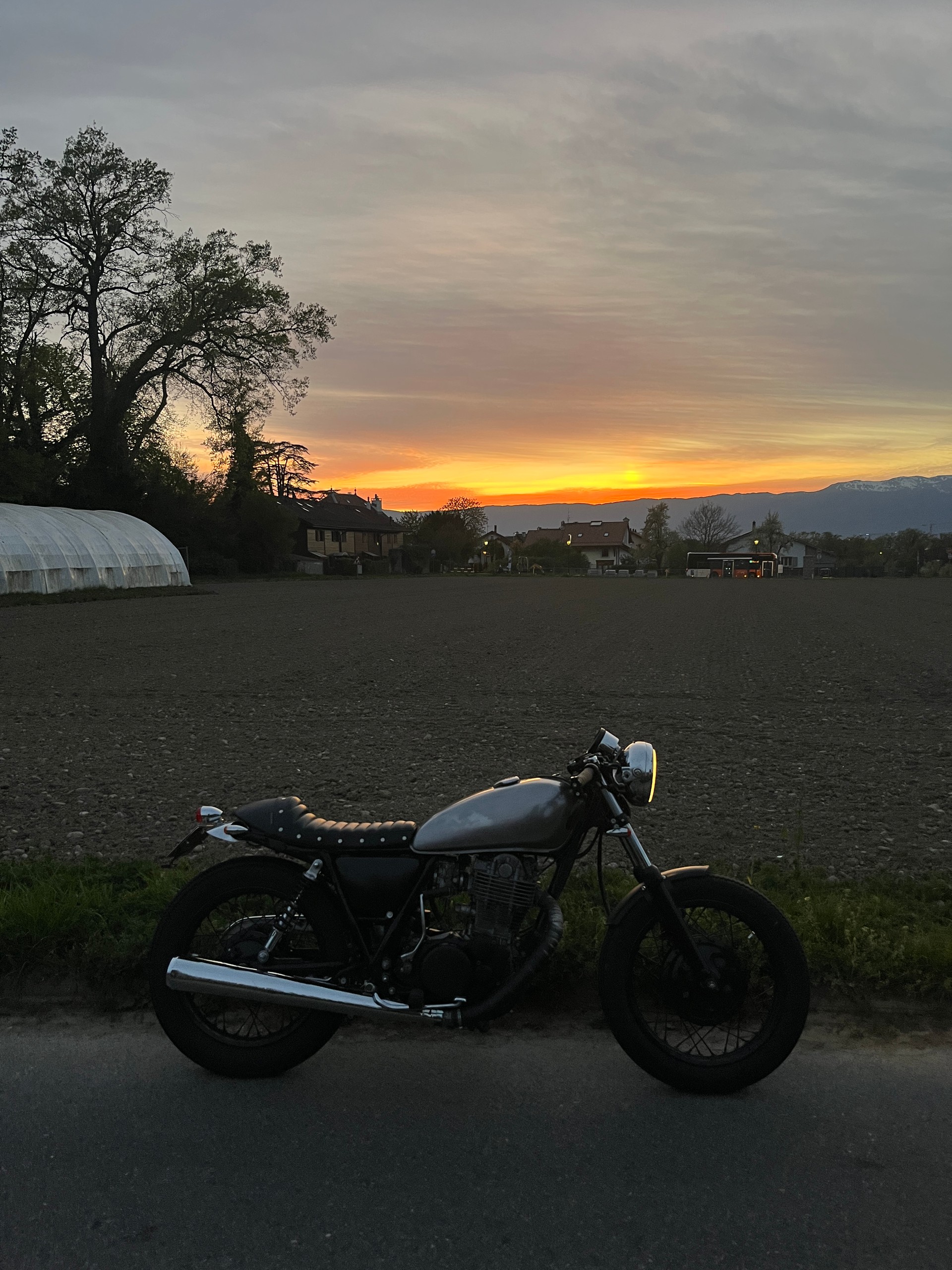 YAMAHA SR 500-image-4