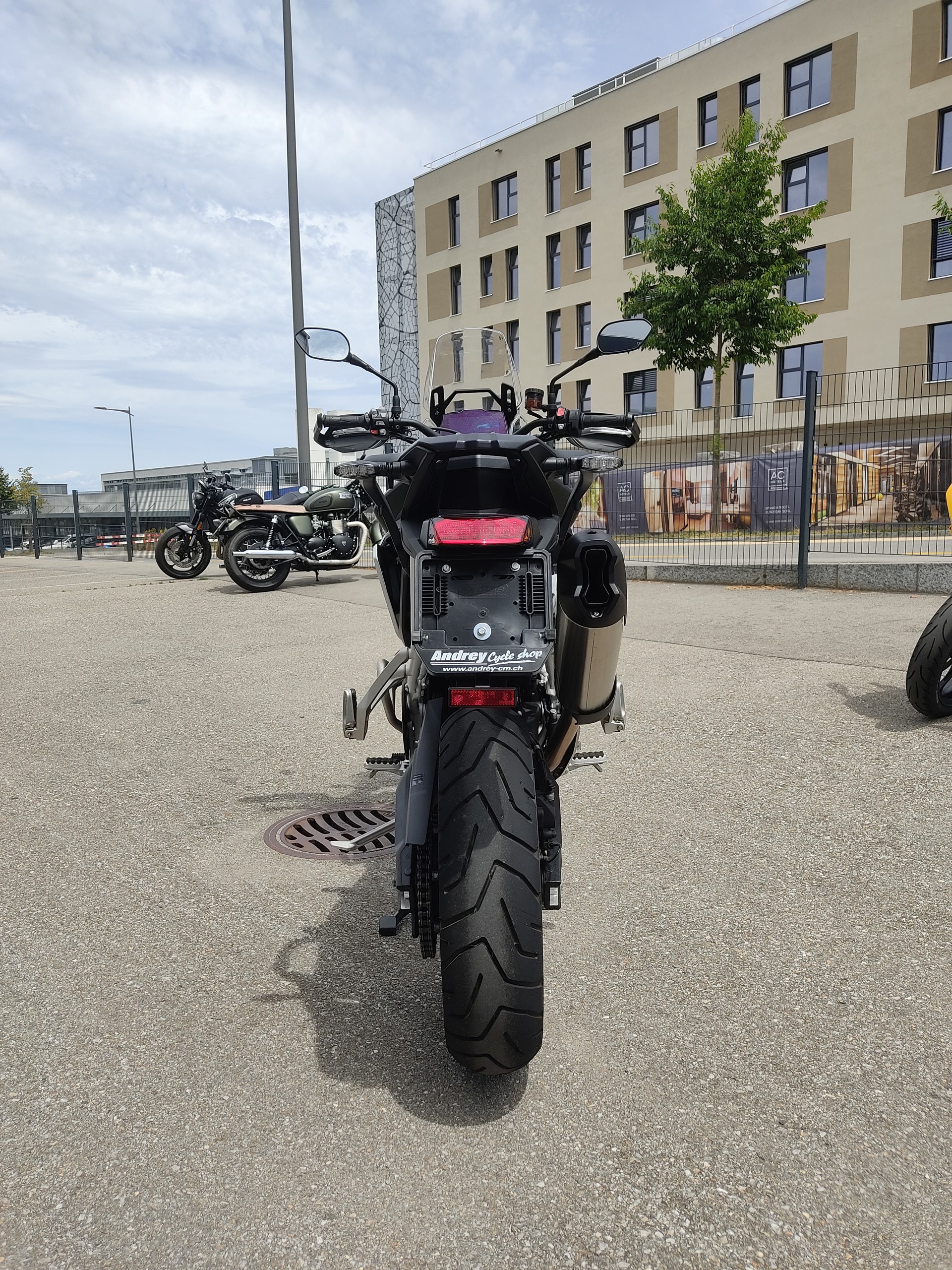 TRIUMPH Tiger 900 Rally Pro-image-5
