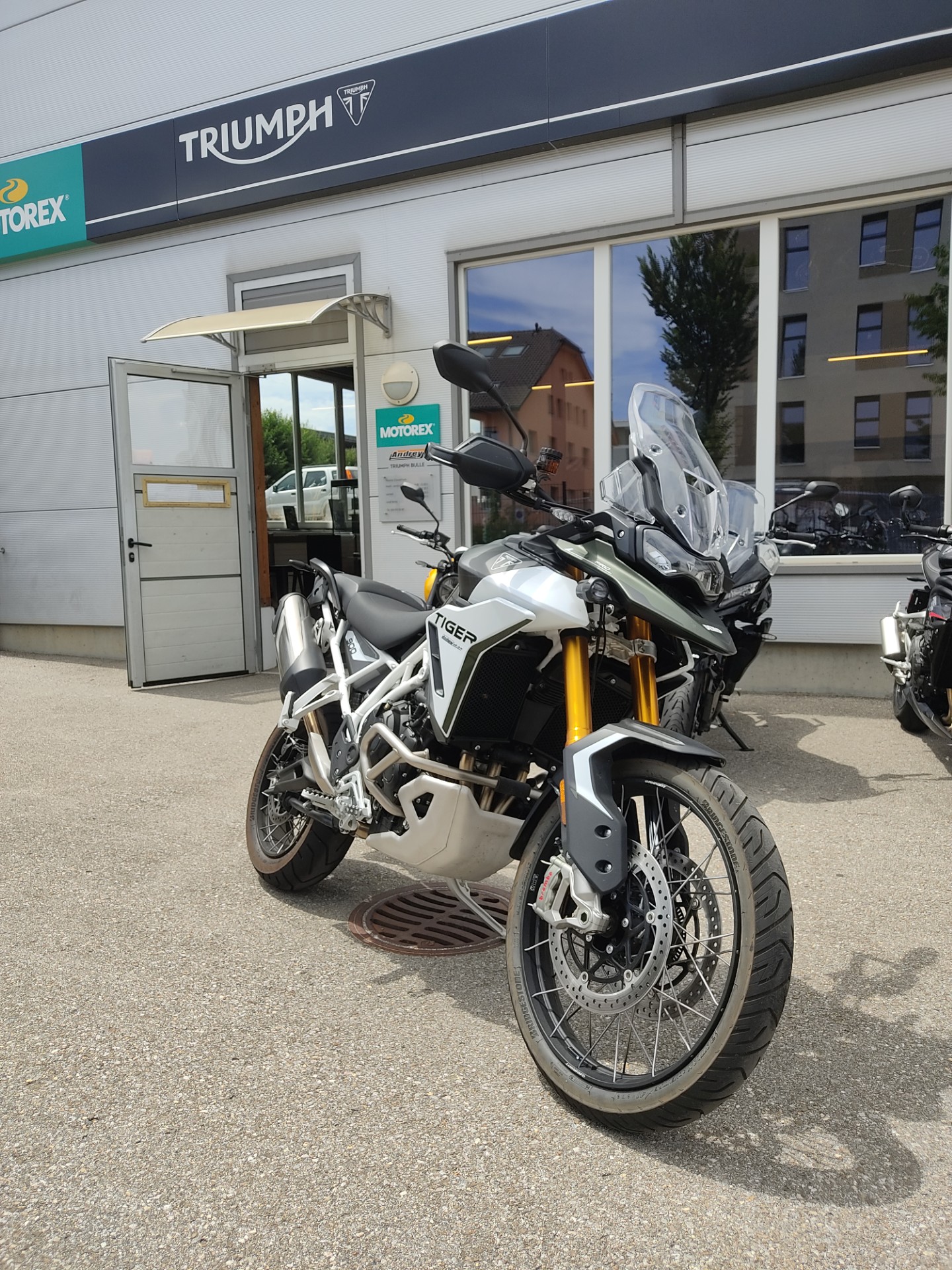 TRIUMPH Tiger 900 Rally Pro