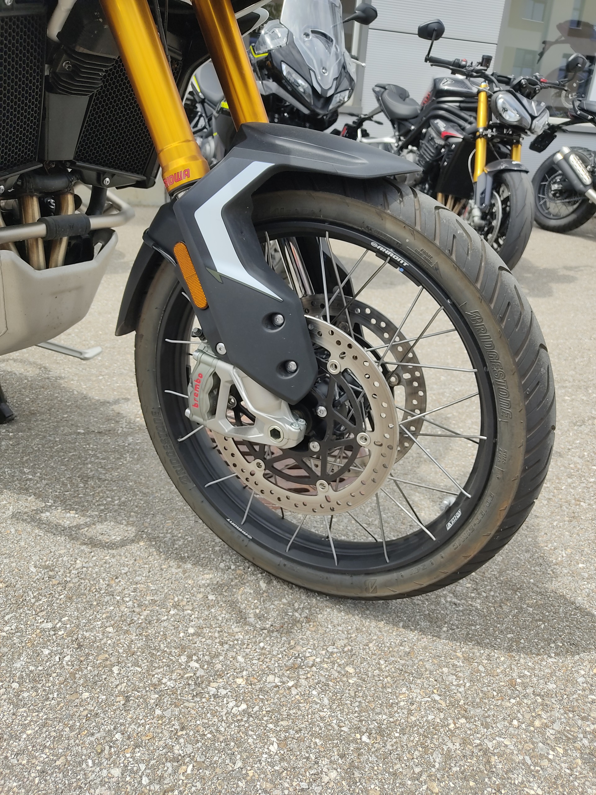 TRIUMPH Tiger 900 Rally Pro-image-7