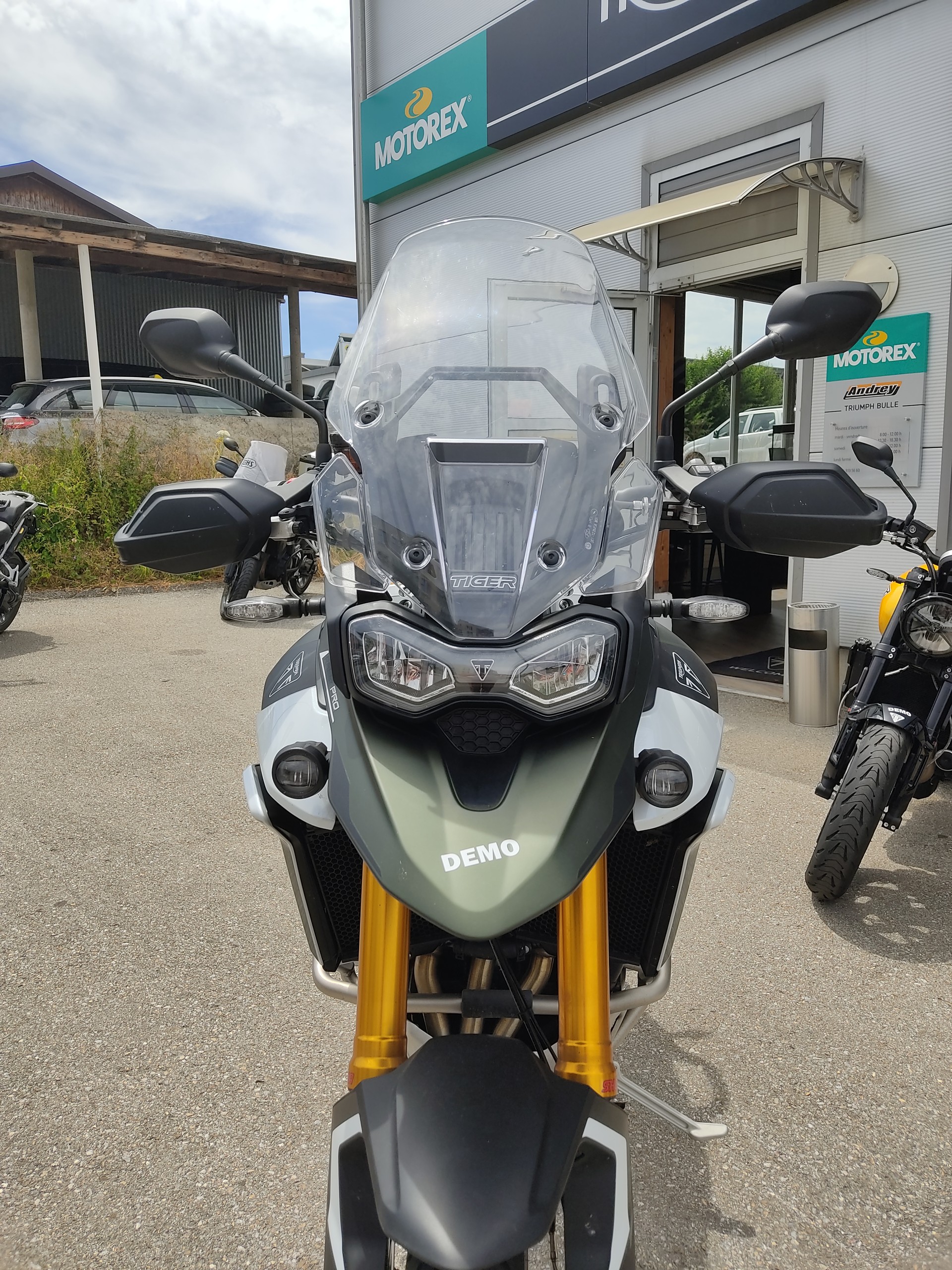 TRIUMPH Tiger 900 Rally Pro-image-4
