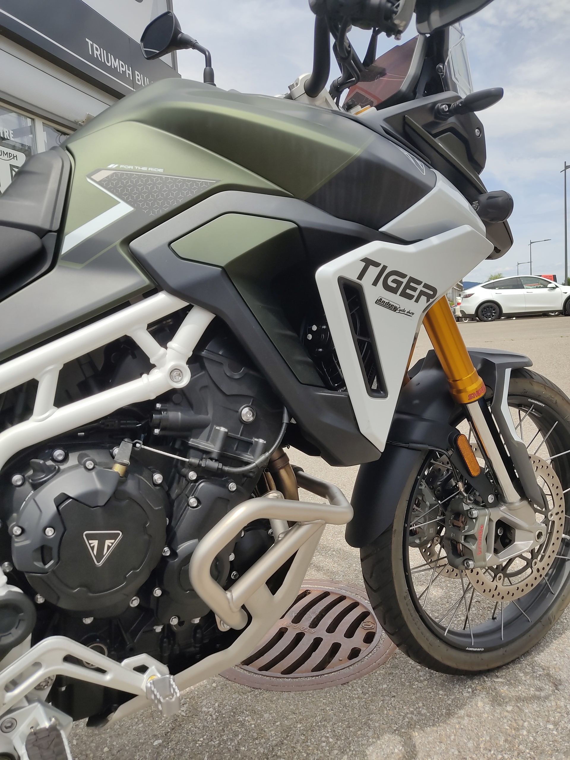 TRIUMPH Tiger 900 Rally Pro-image-6