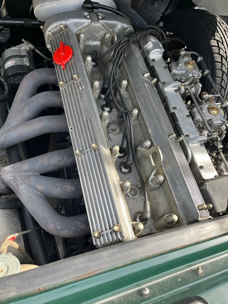 JAGUAR D-Type Shortnose Recreation-image-10