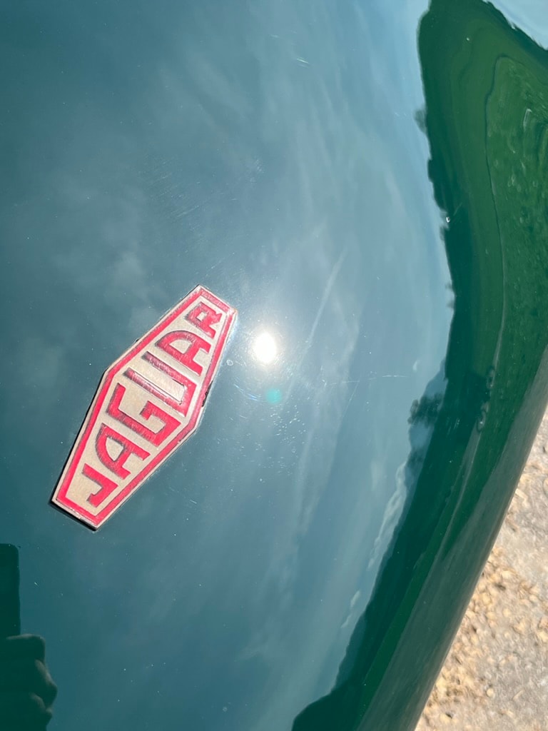 JAGUAR D-Type Shortnose Recreation-image-14