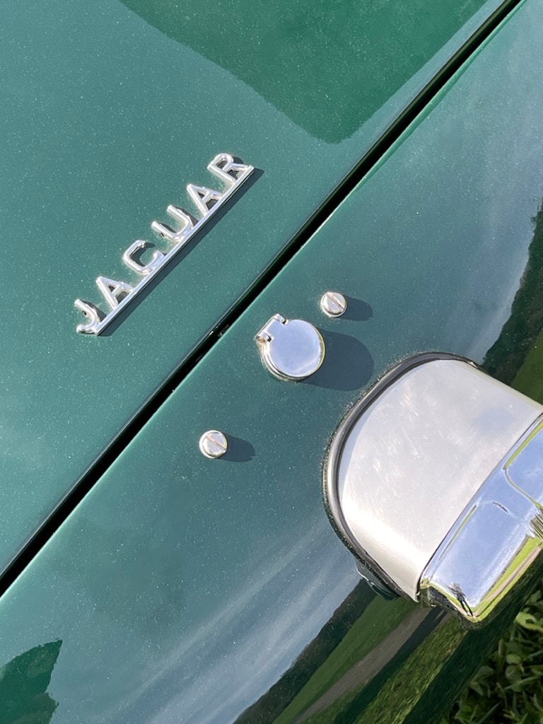 JAGUAR D-Type Shortnose Recreation-image-15