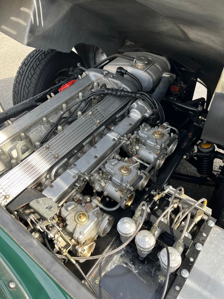 JAGUAR D-Type Shortnose Recreation-image-9
