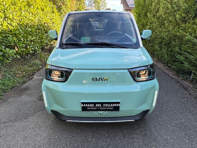 BAW Pony-image-6