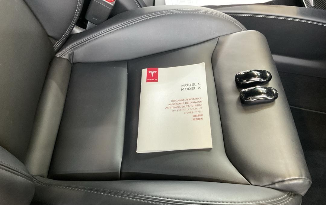 TESLA TESLA Model X Performance-image-10