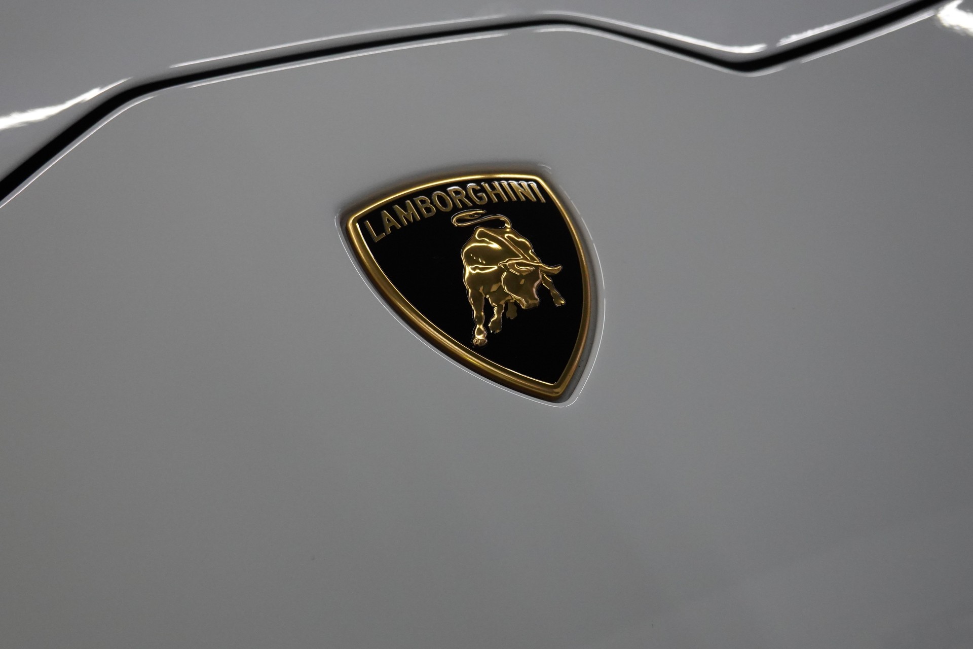 LAMBORGHINI HURACAN EVO SPYDER DCT NOVITEC LIFT CH-FZ ERST HAND-image-4