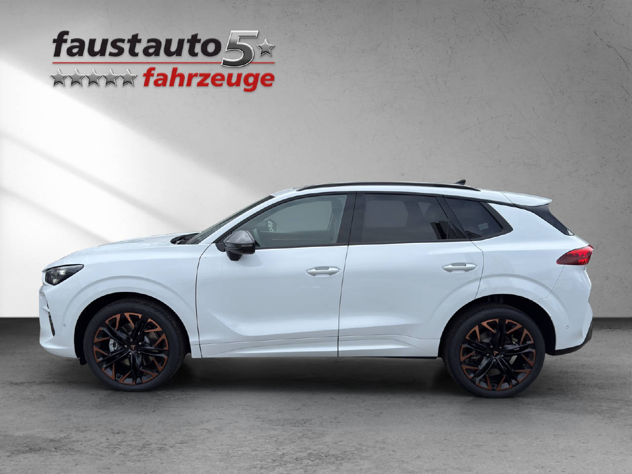 CUPRA Terramar 2.0 TSI Prime Edition 4Drive DSG-image-9
