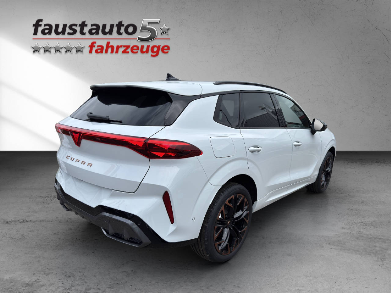 CUPRA Terramar 2.0 TSI Prime Edition 4Drive DSG-image-11