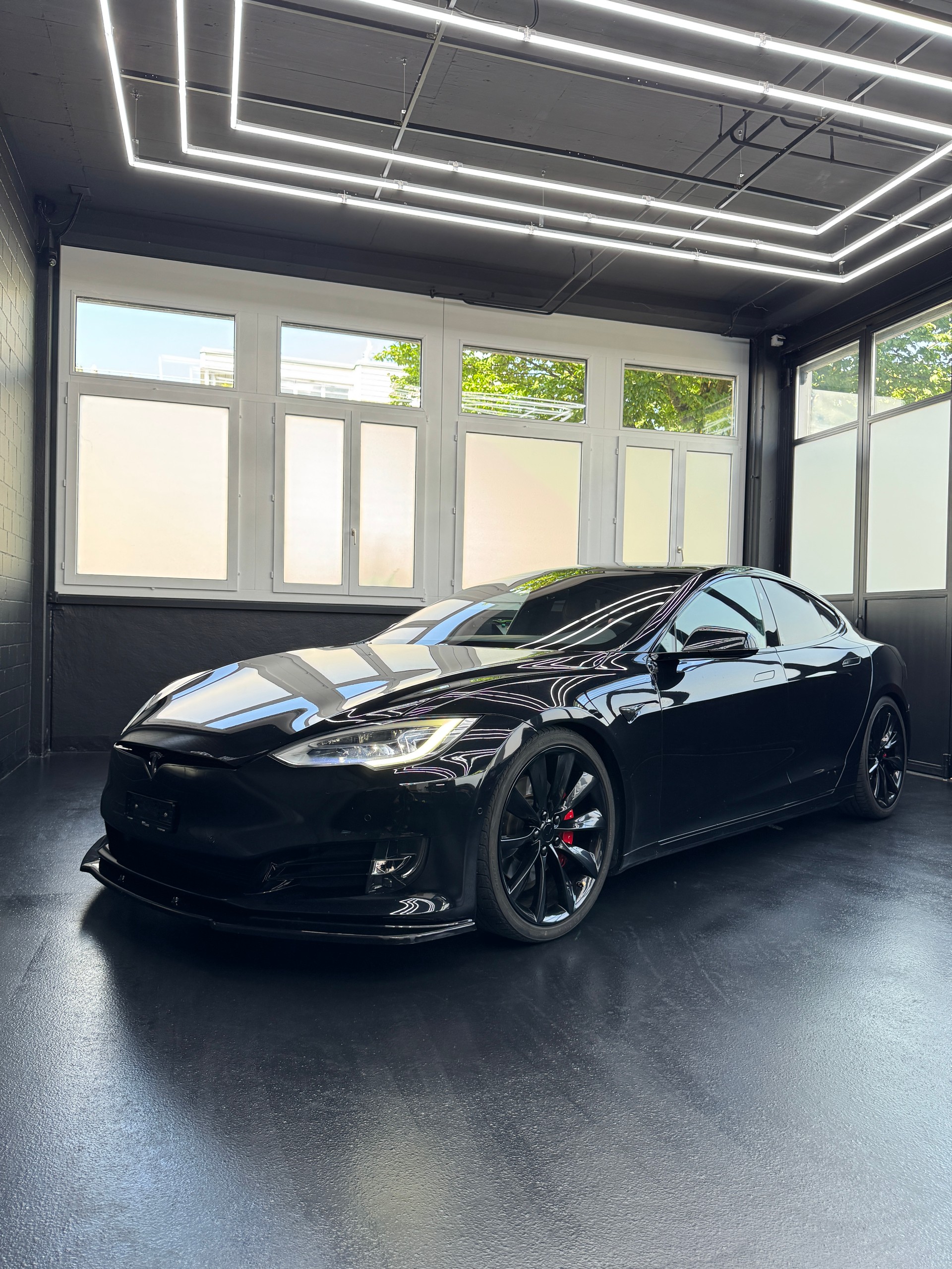 TESLA Model S 100 D Performance-image-1