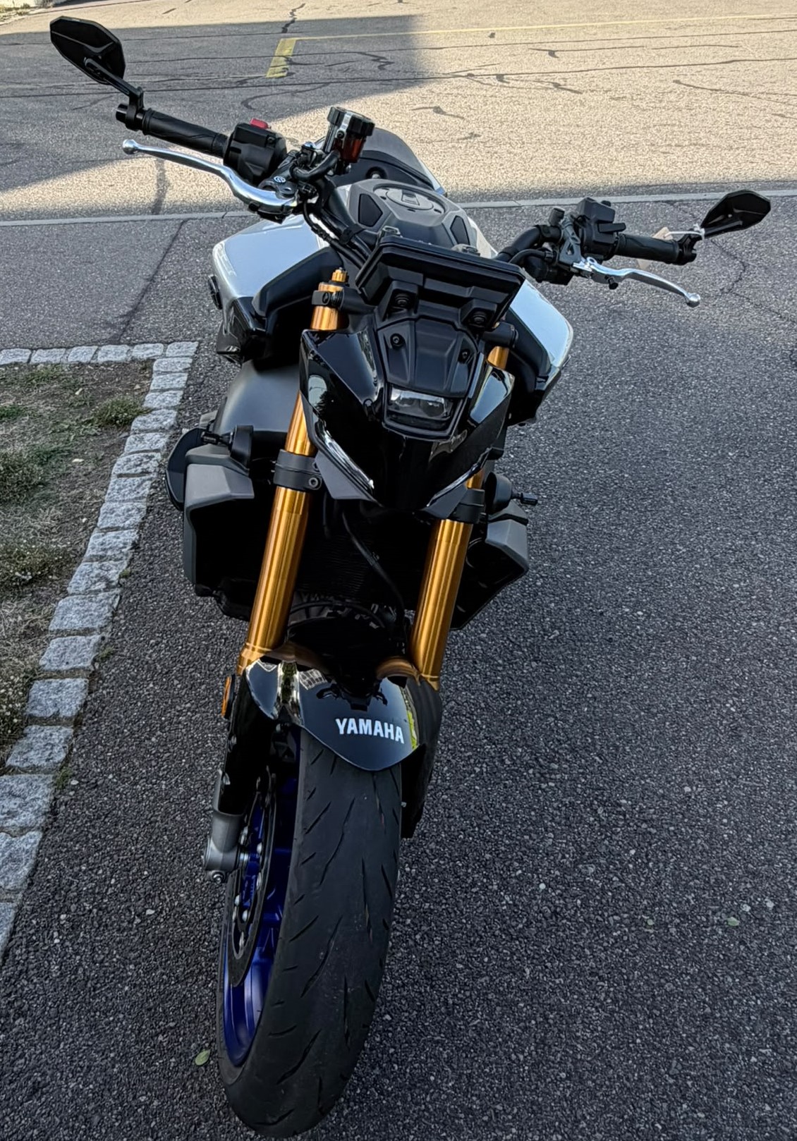 YAMAHA MT-09 SP-image-3