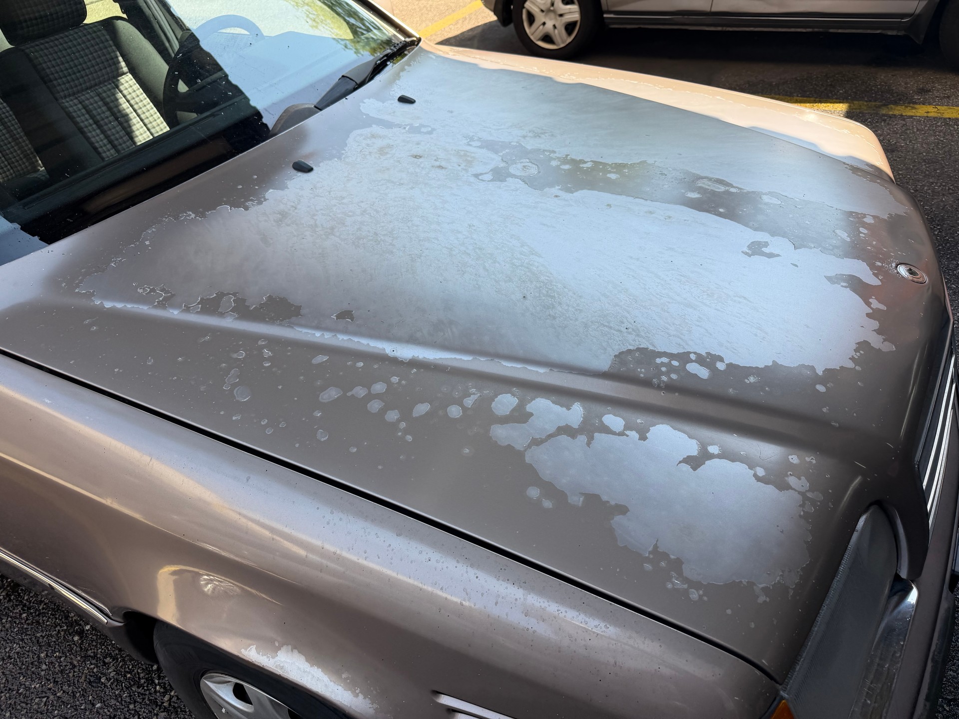 MERCEDES-BENZ 250 D Turbo-image-2
