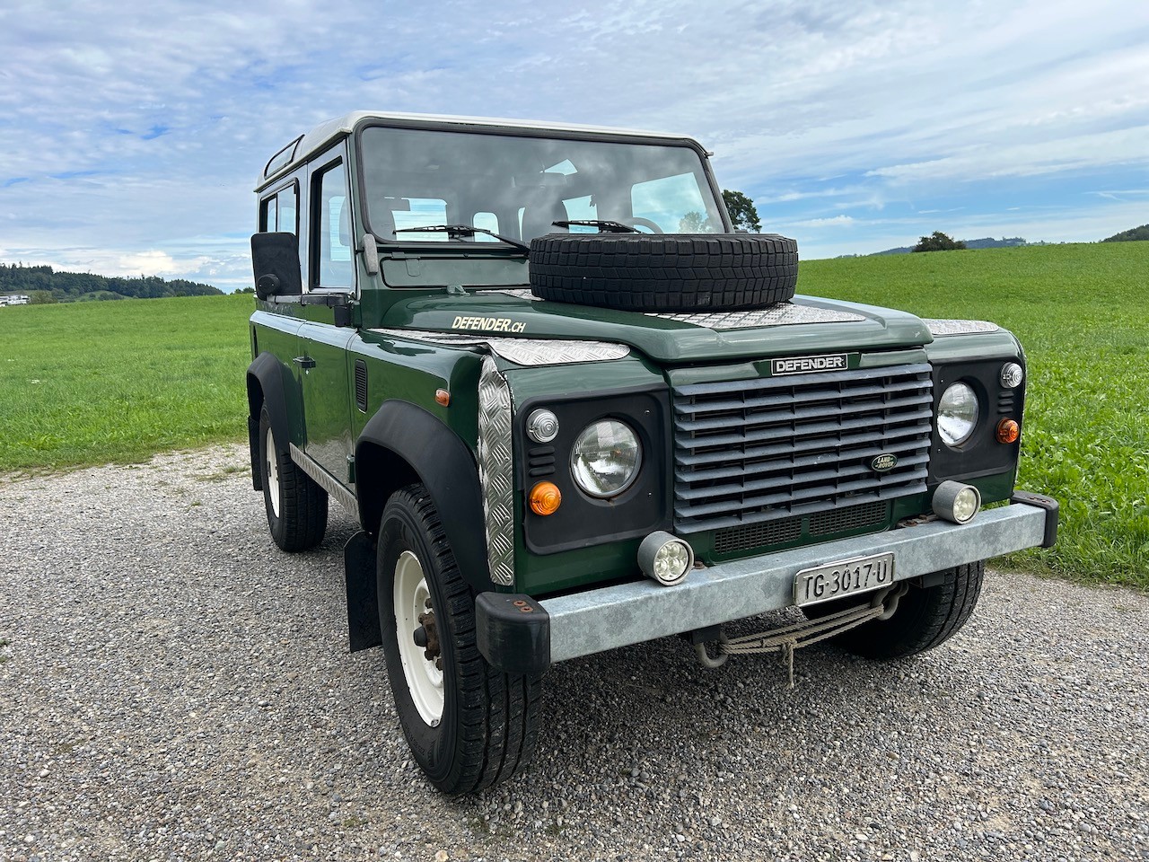 LAND ROVER Defender 90 SW 2.5 Td5-image-6