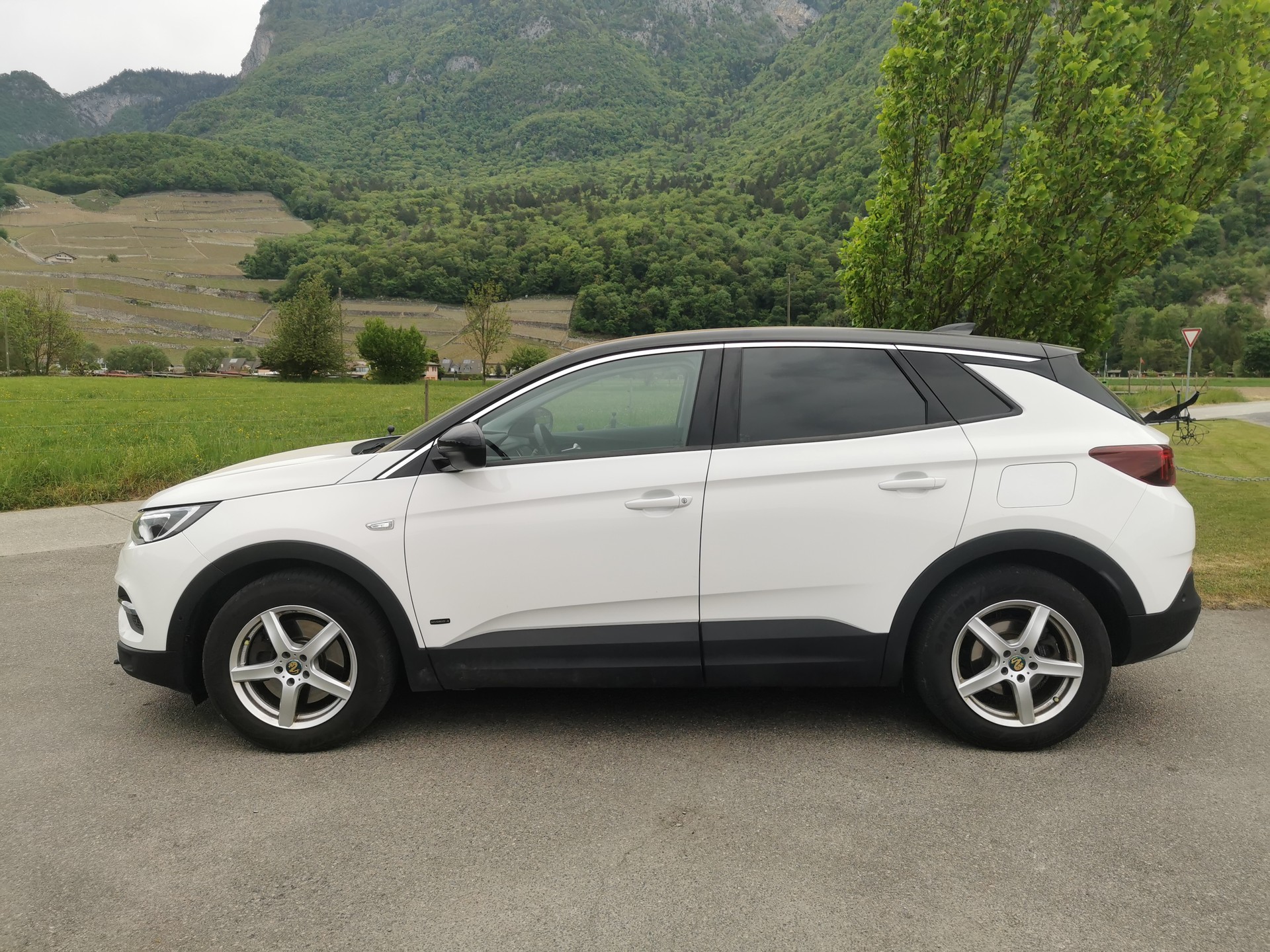 OPEL Grandland X 1.6 Hybrid4 Excellence Automatik-image-3