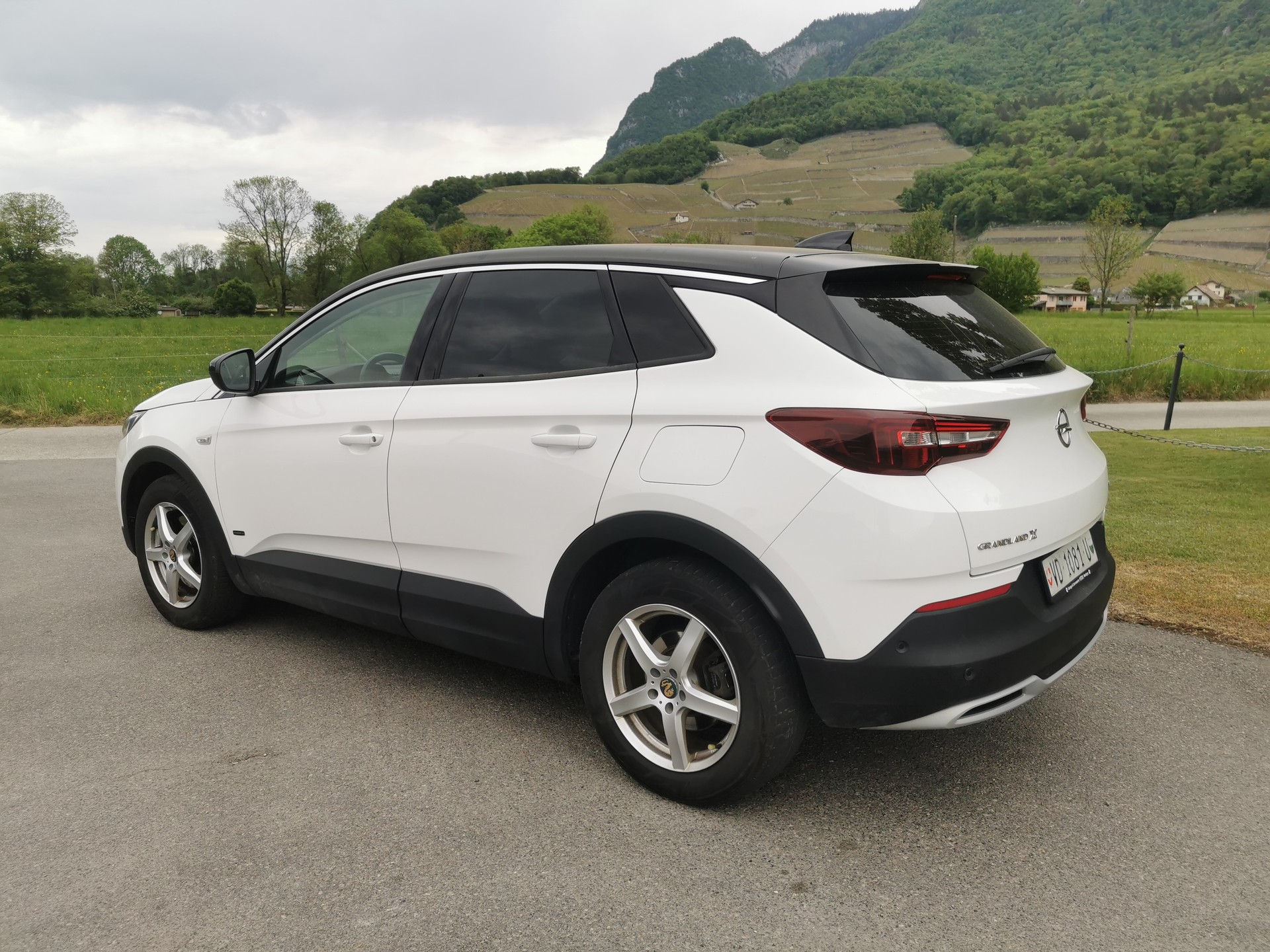 OPEL Grandland X 1.6 Hybrid4 Excellence Automatik-image-4