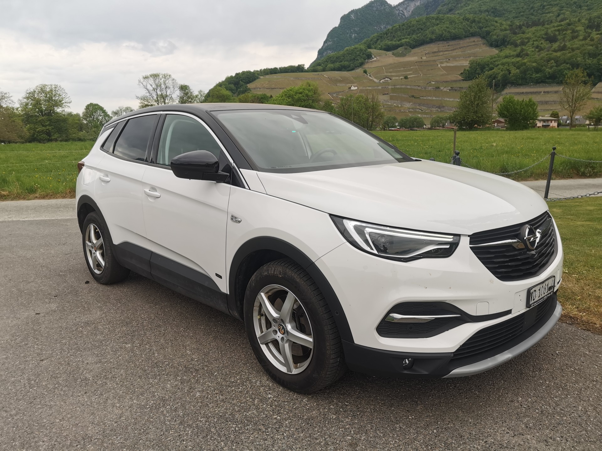 OPEL Grandland X 1.6 Hybrid4 Excellence Automatik-image-1